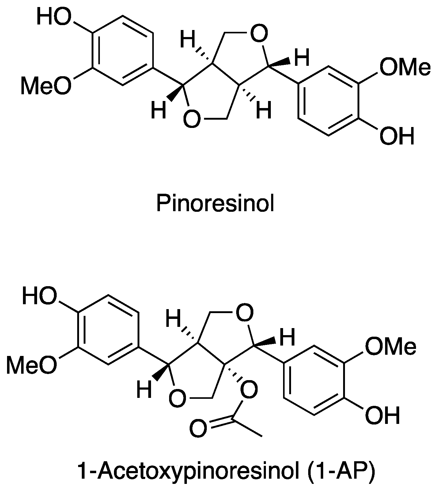 Nutrients 16 01474 g001 Nutrients 16 01474 g001