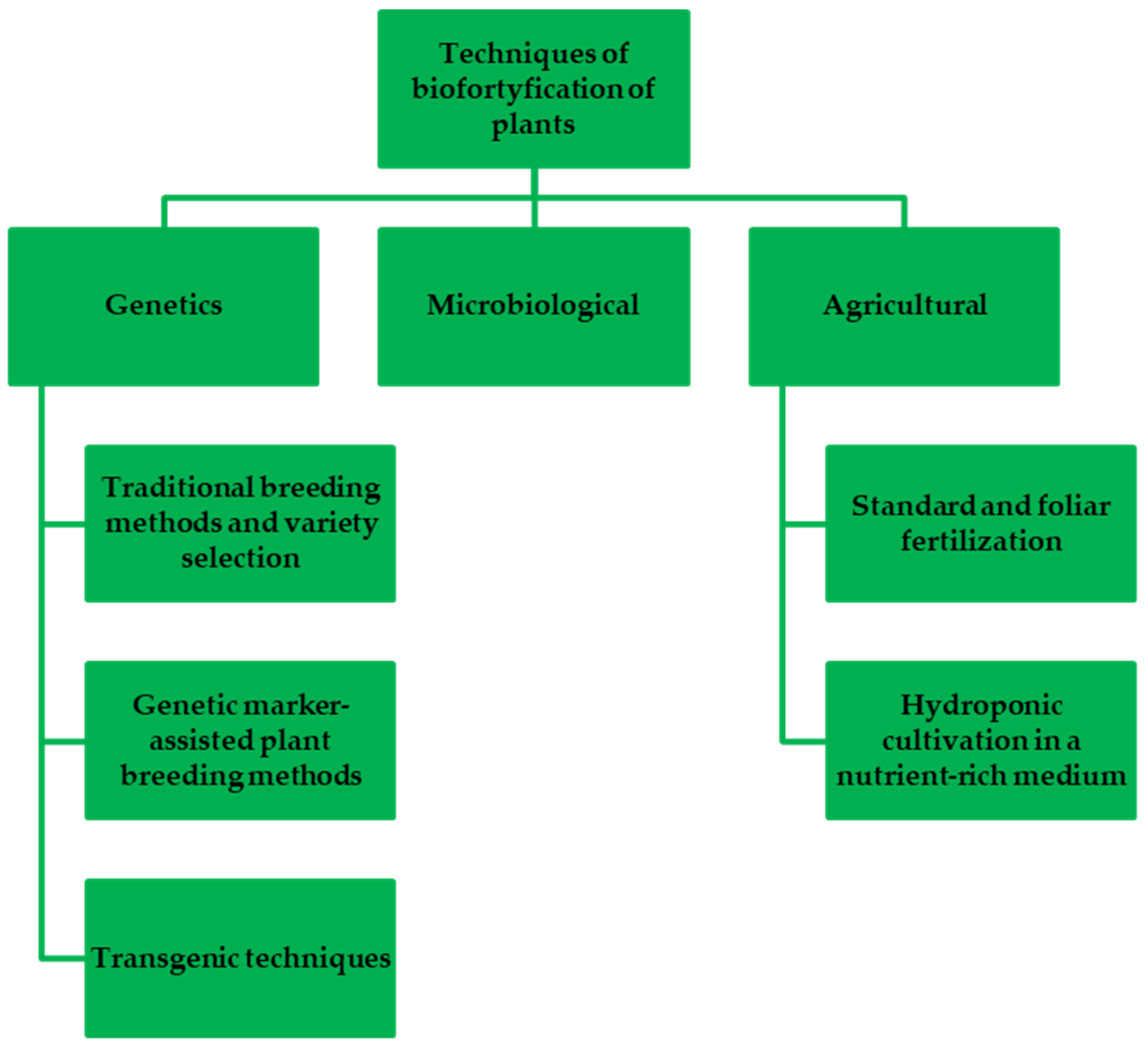 Nutrients 16 01481 g001
