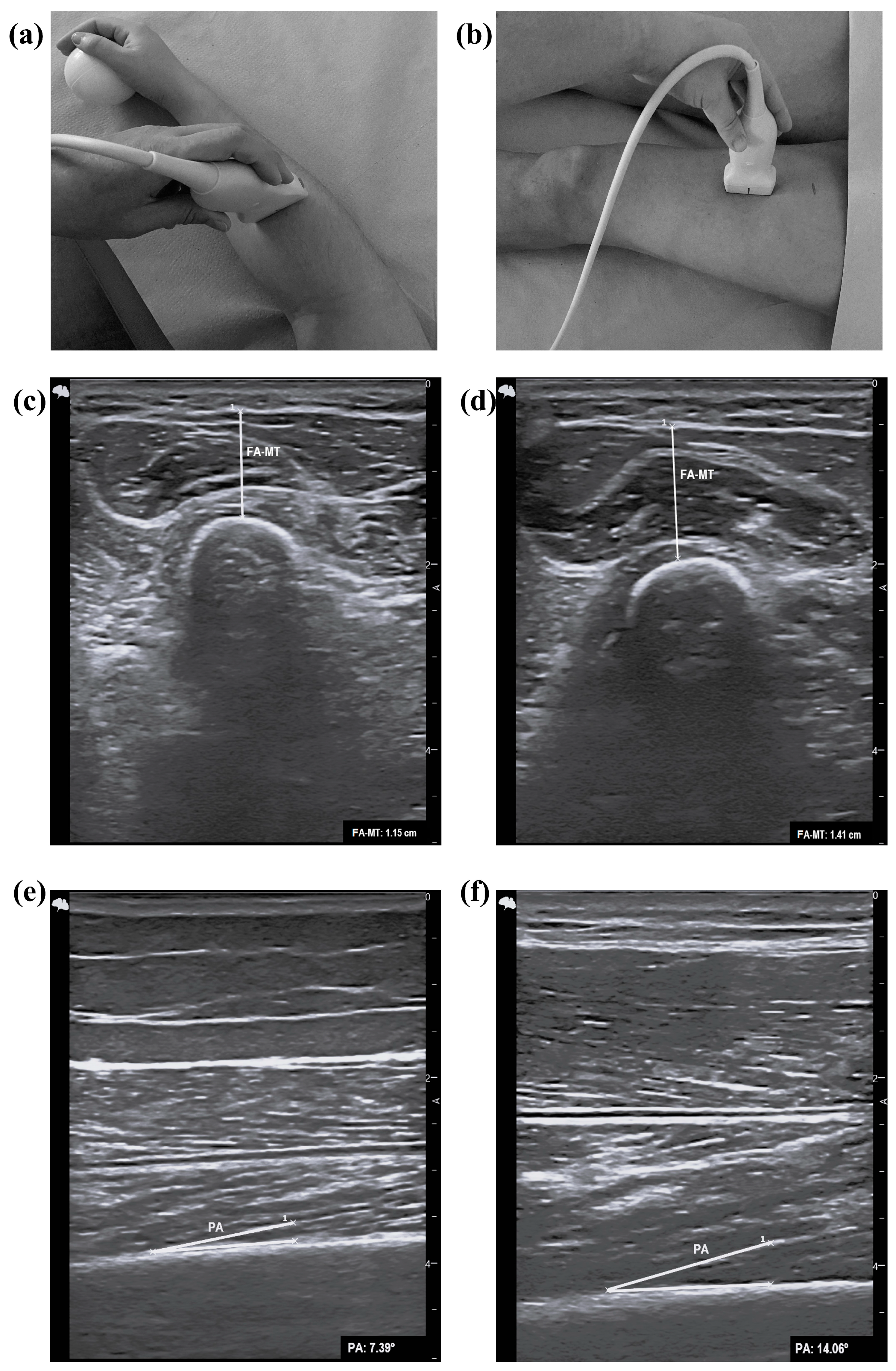 Nutrients 16 01496 g001