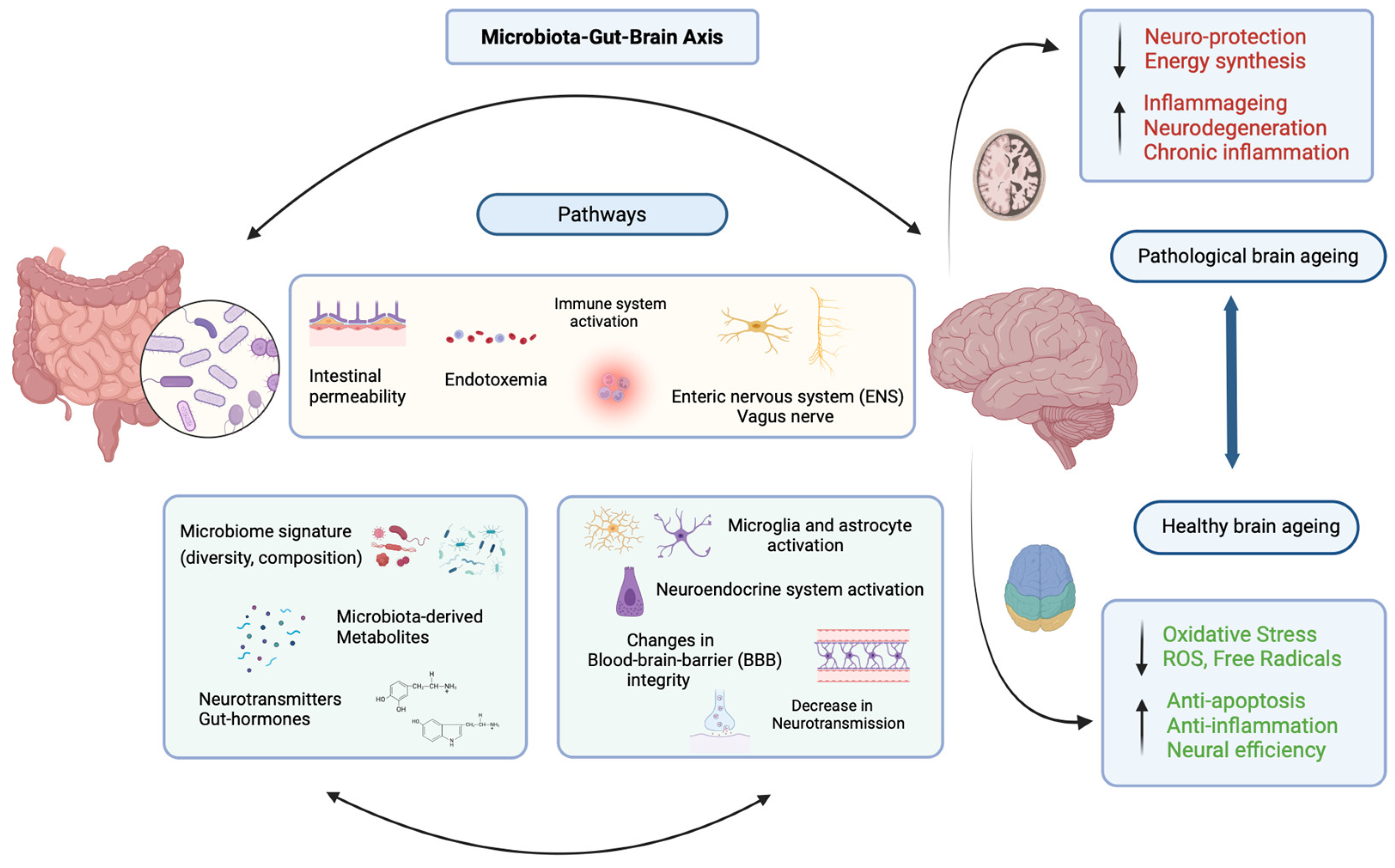 Nutrients 16 01500 g001