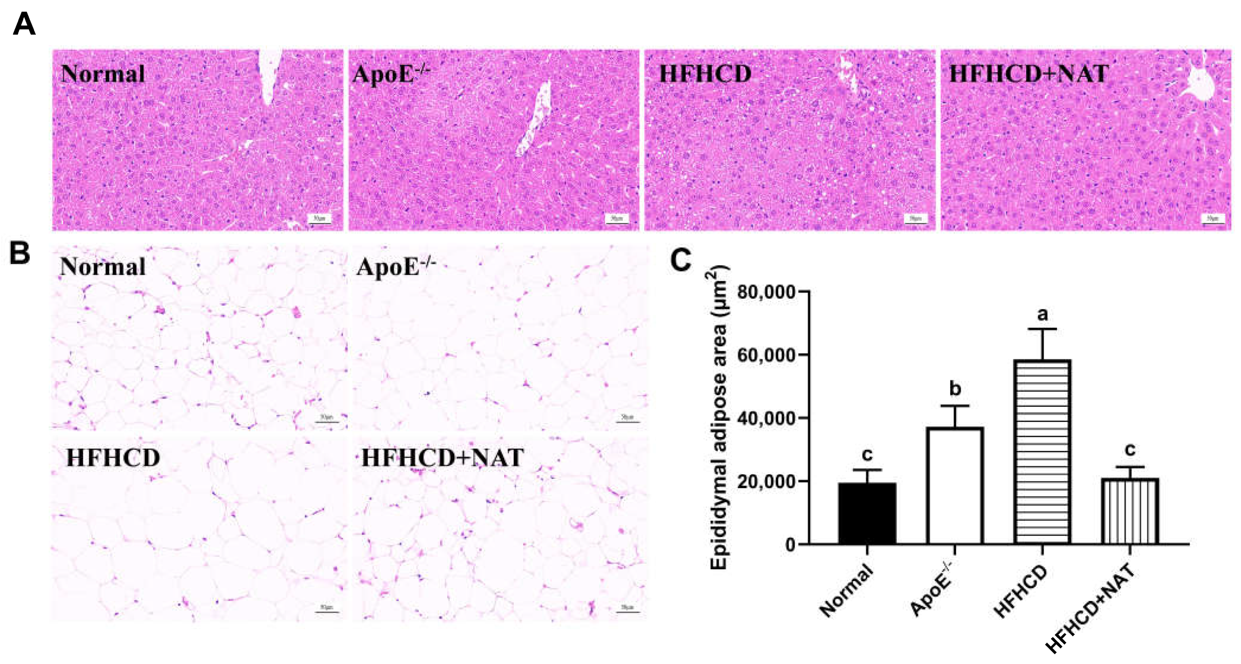 Nutrients 16 01502 g002
