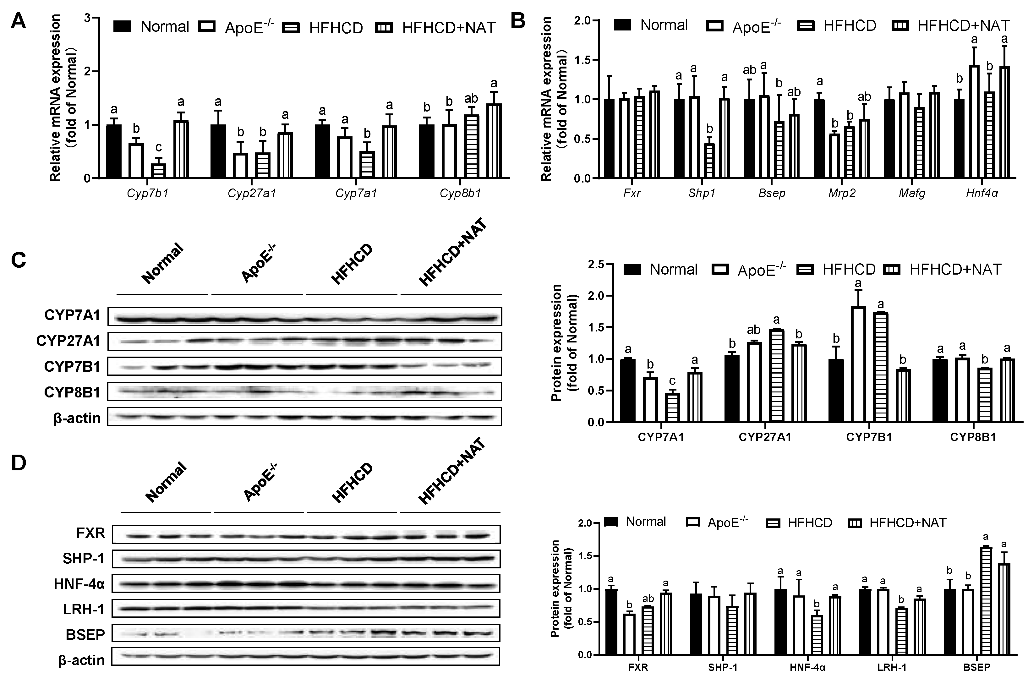 Nutrients 16 01502 g005