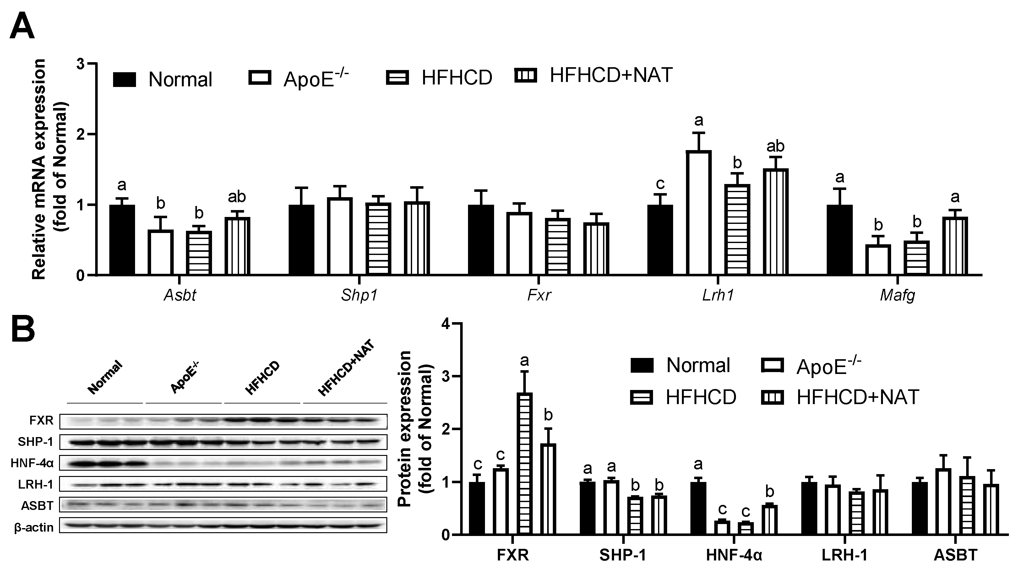 Nutrients 16 01502 g006