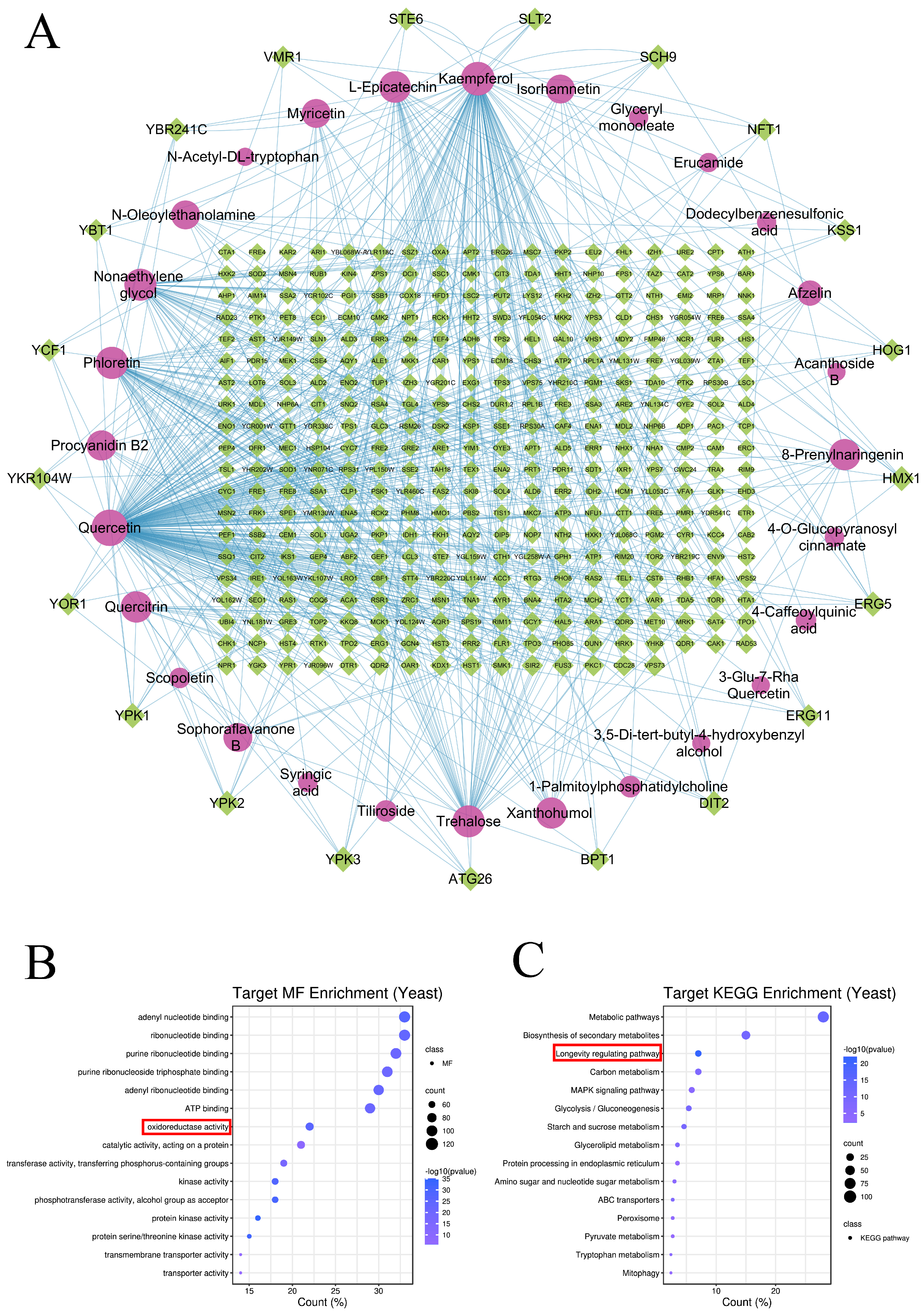 Nutrients 16 01506 g003a