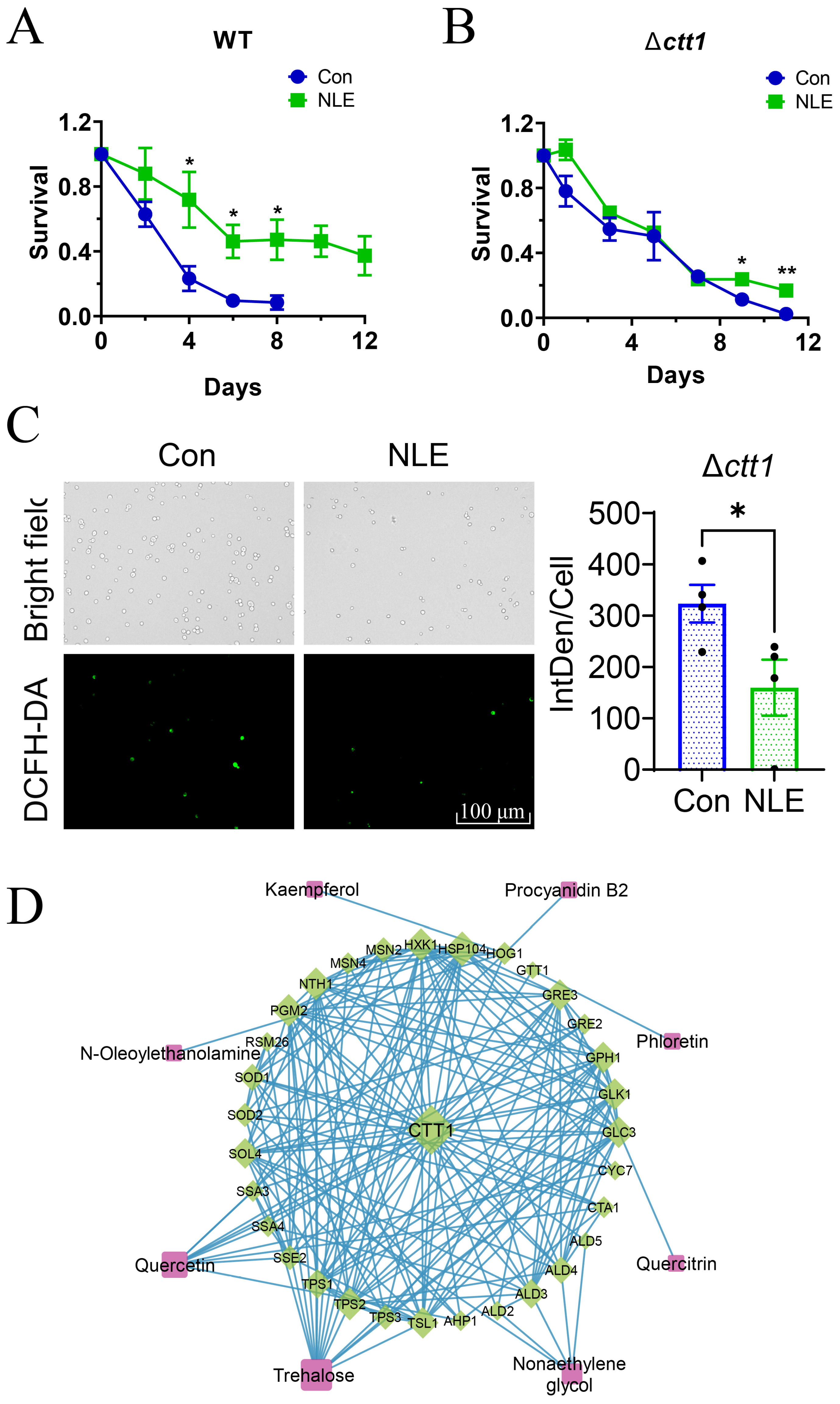 Nutrients 16 01506 g006