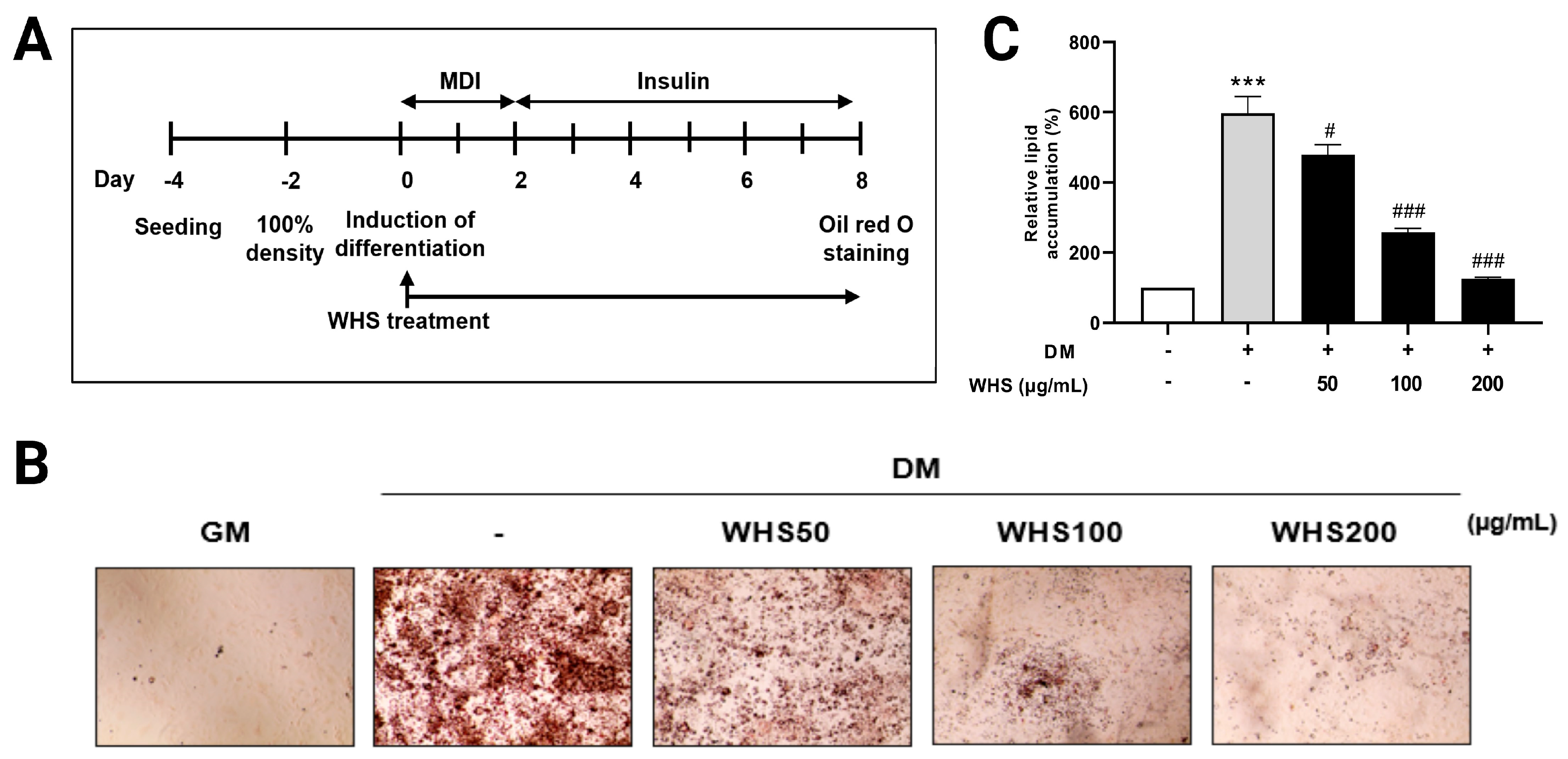 Nutrients 16 01508 g001
