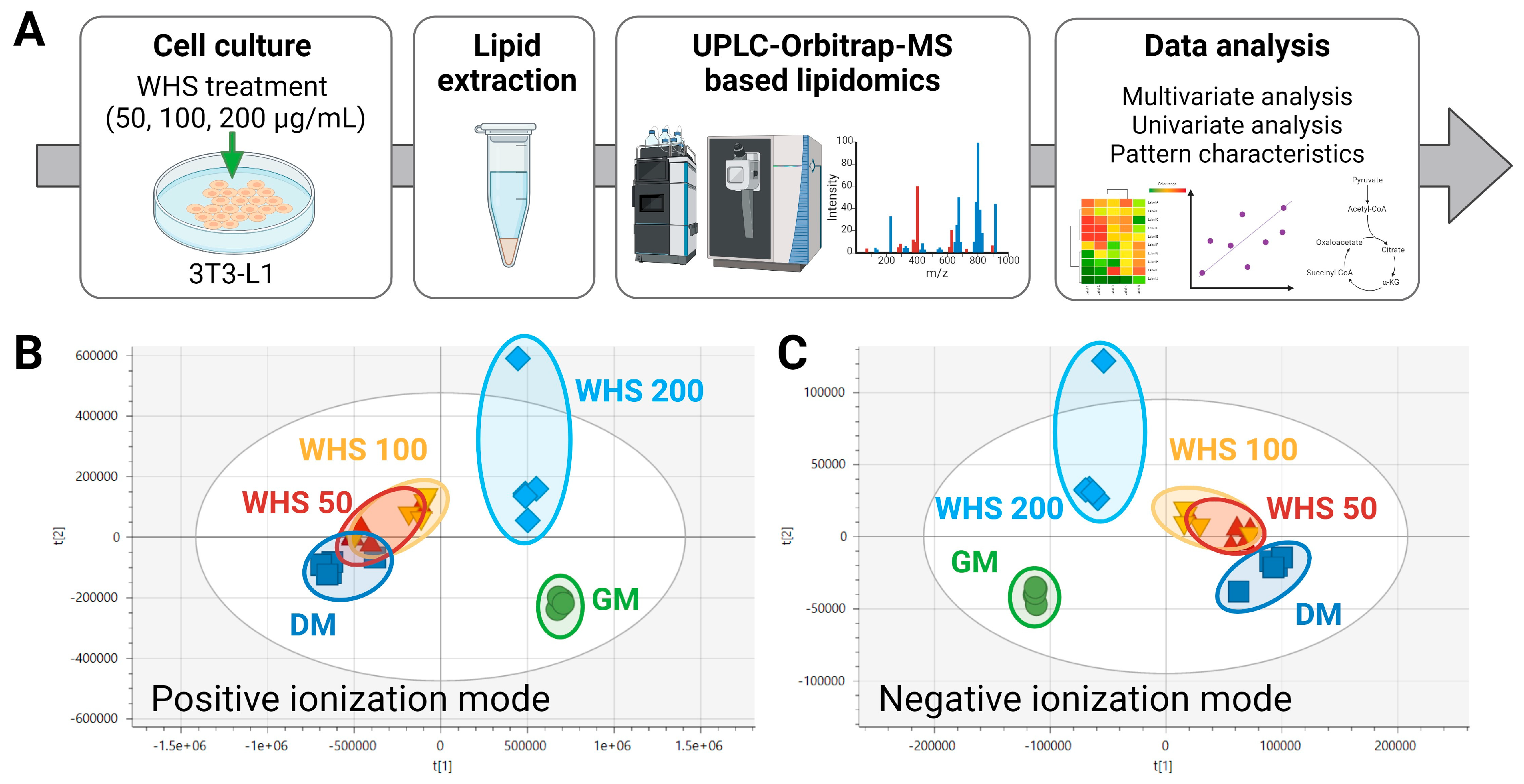 Nutrients 16 01508 g002