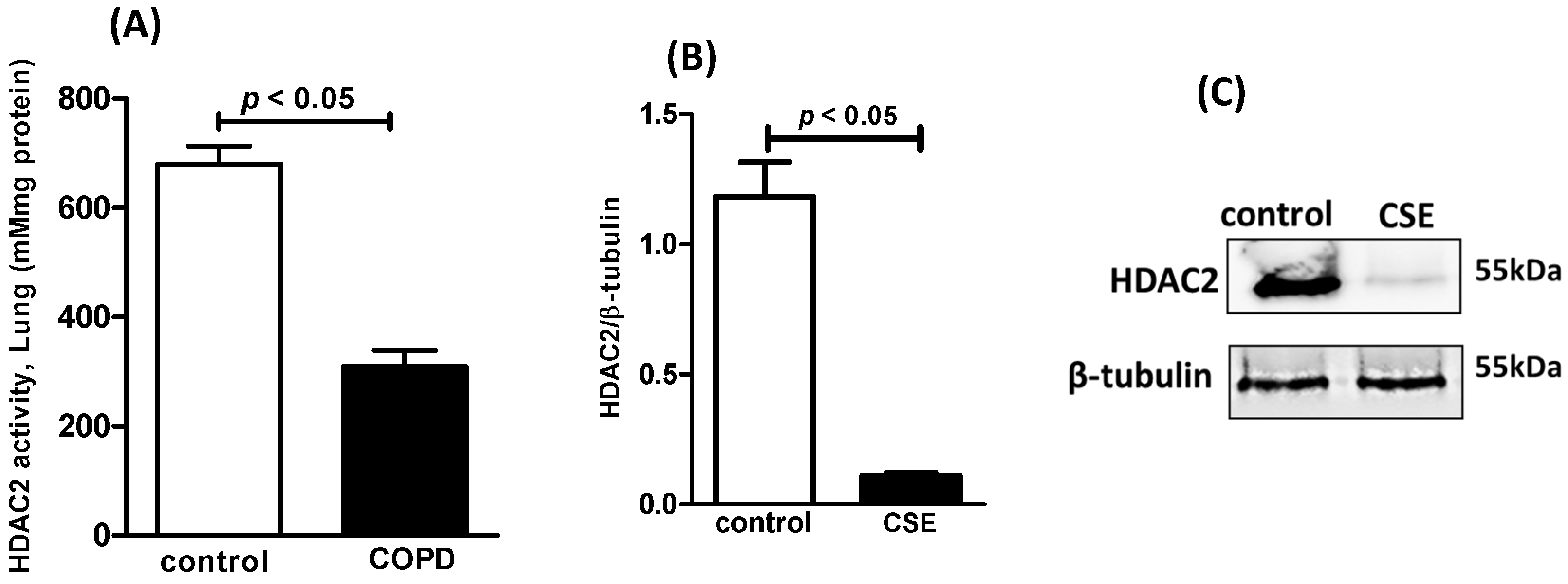 Nutrients 16 01509 g003 Nutrients 16 01509 g003