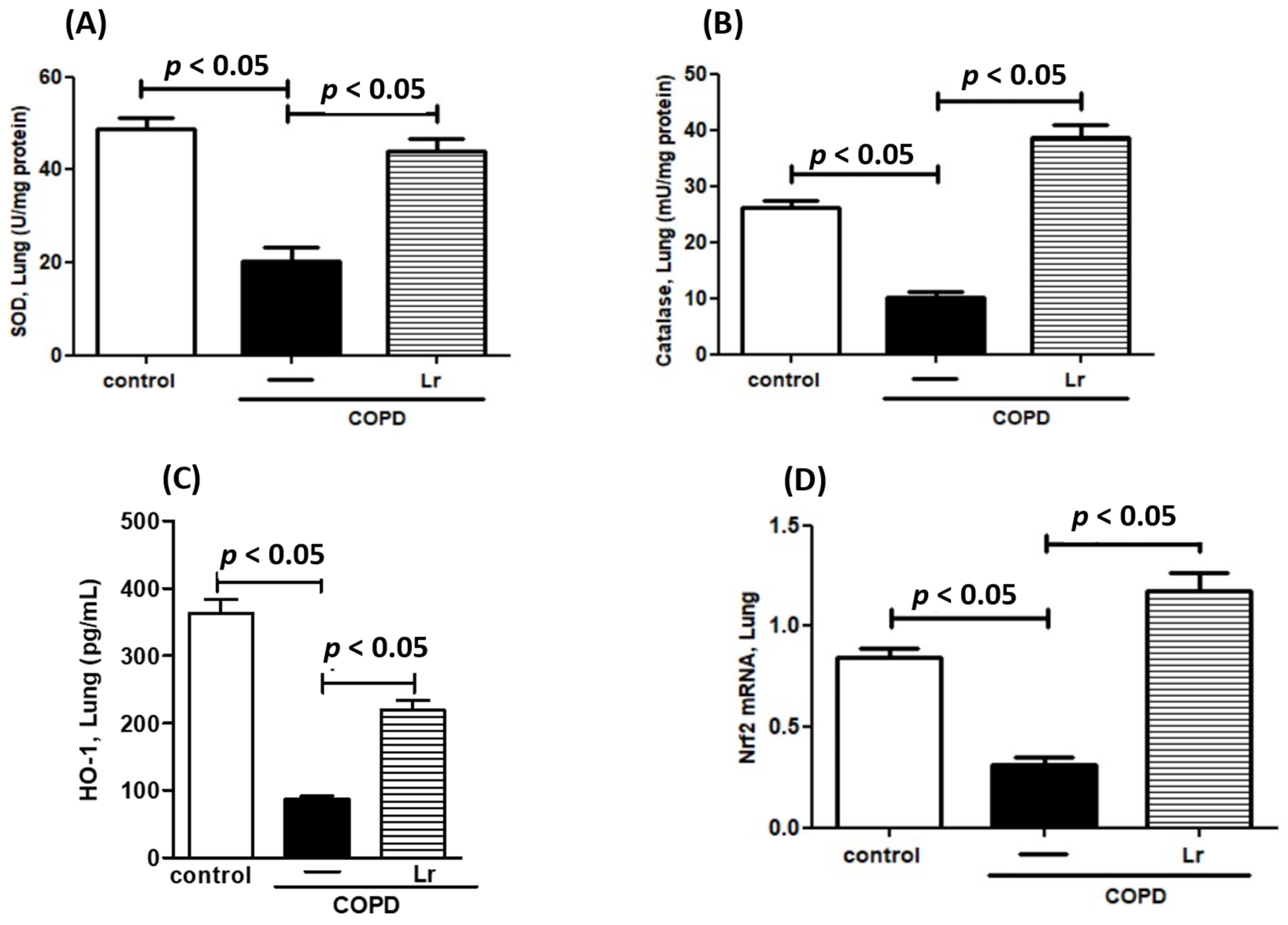 Nutrients 16 01509 g008 Nutrients 16 01509 g008
