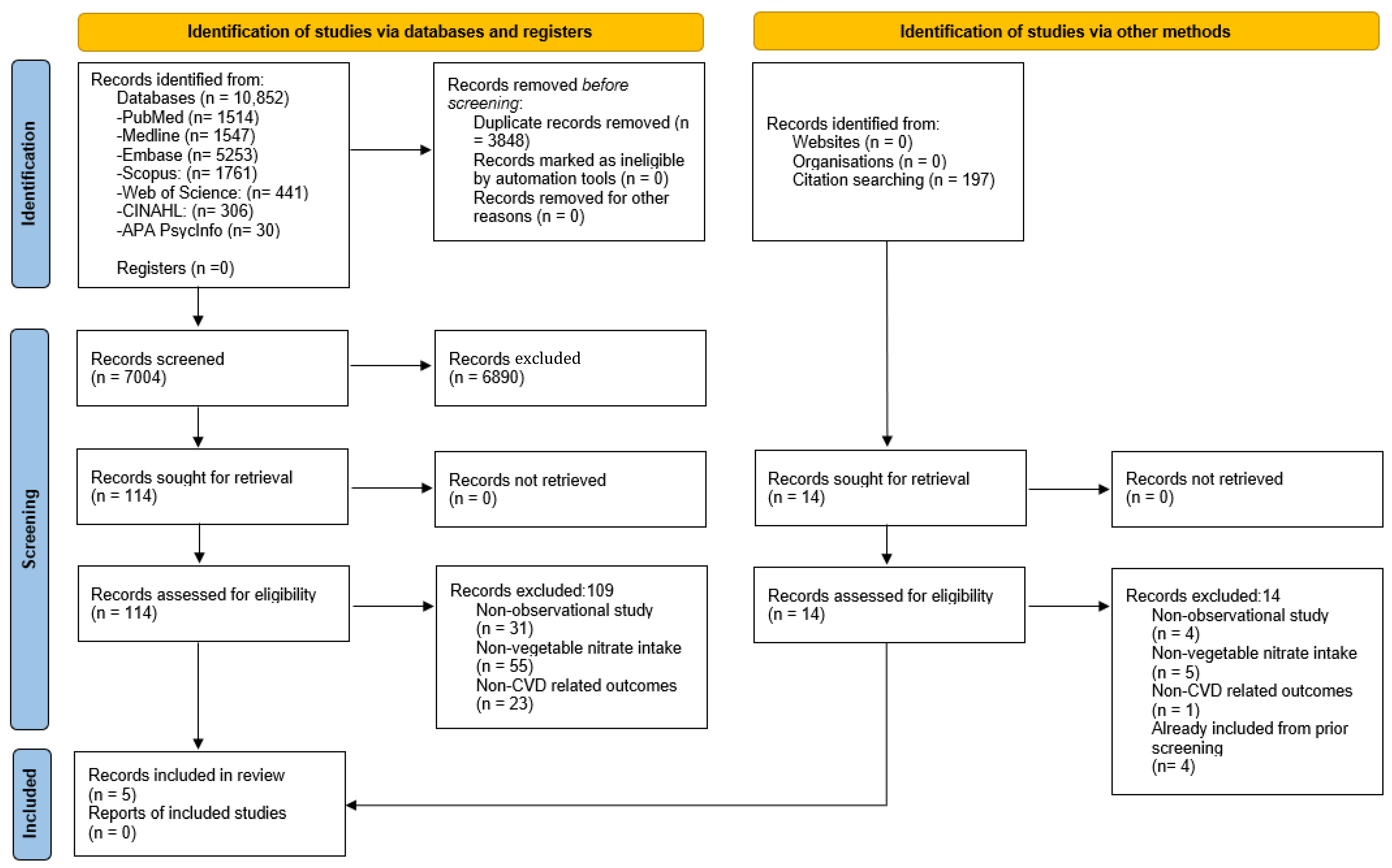 Nutrients 16 01511 g001 Nutrients 16 01511 g001