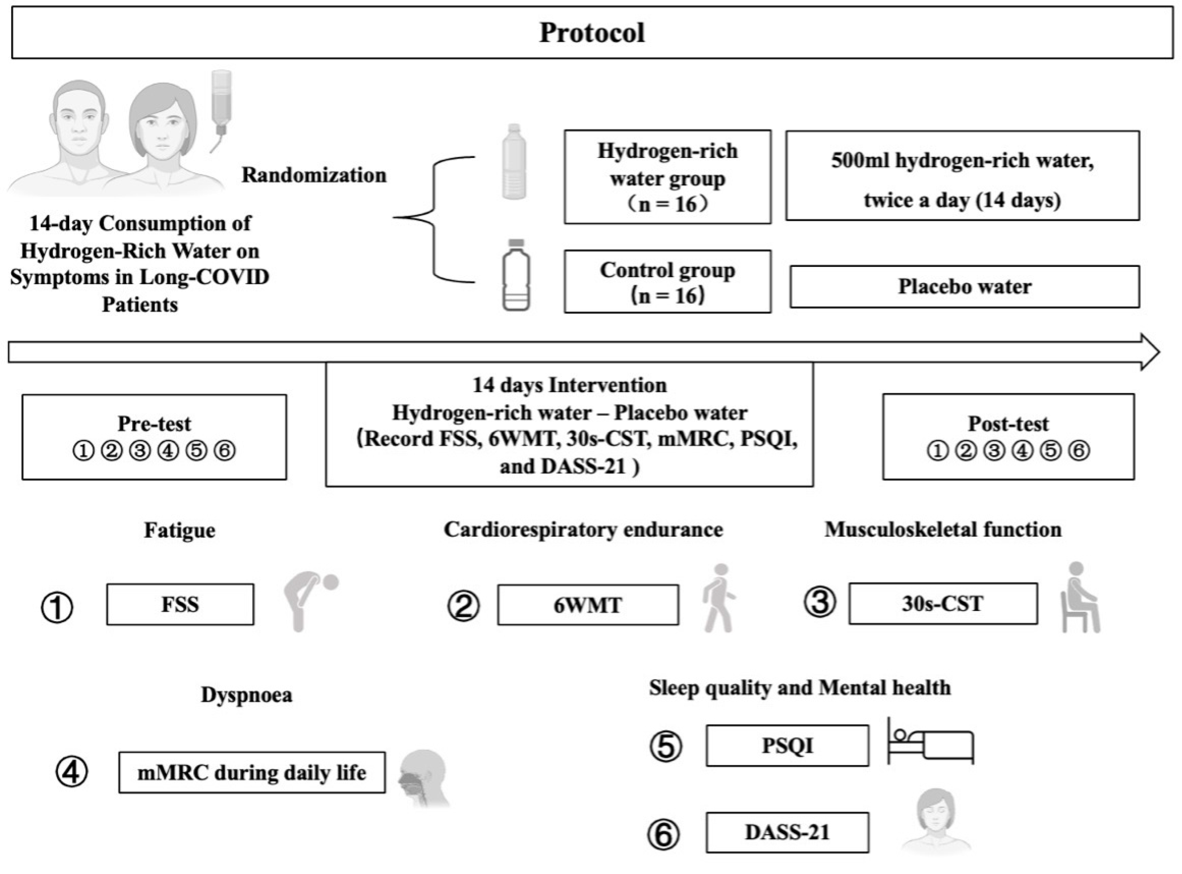 Nutrients 16 01529 g002