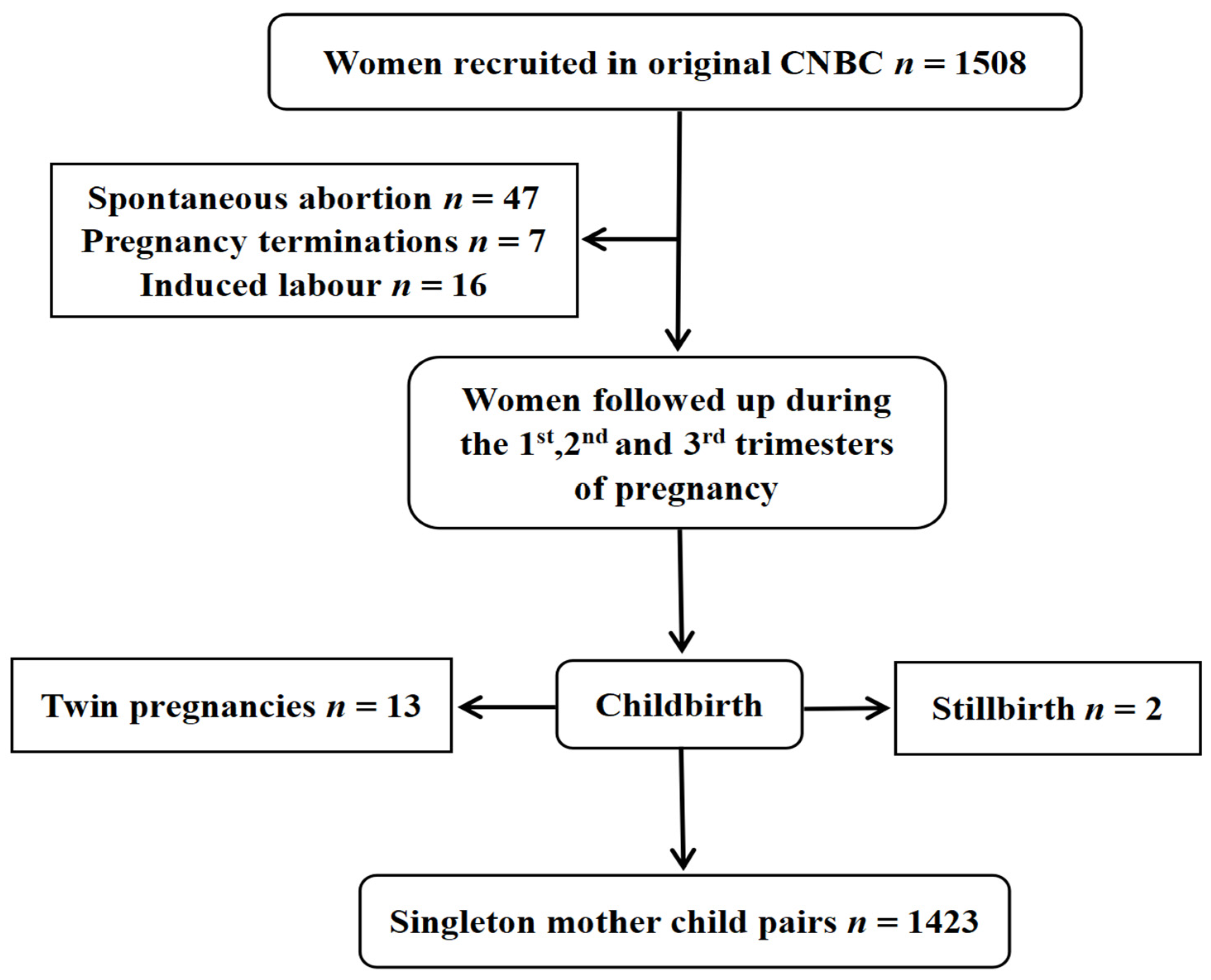 Nutrients 16 01530 g001
