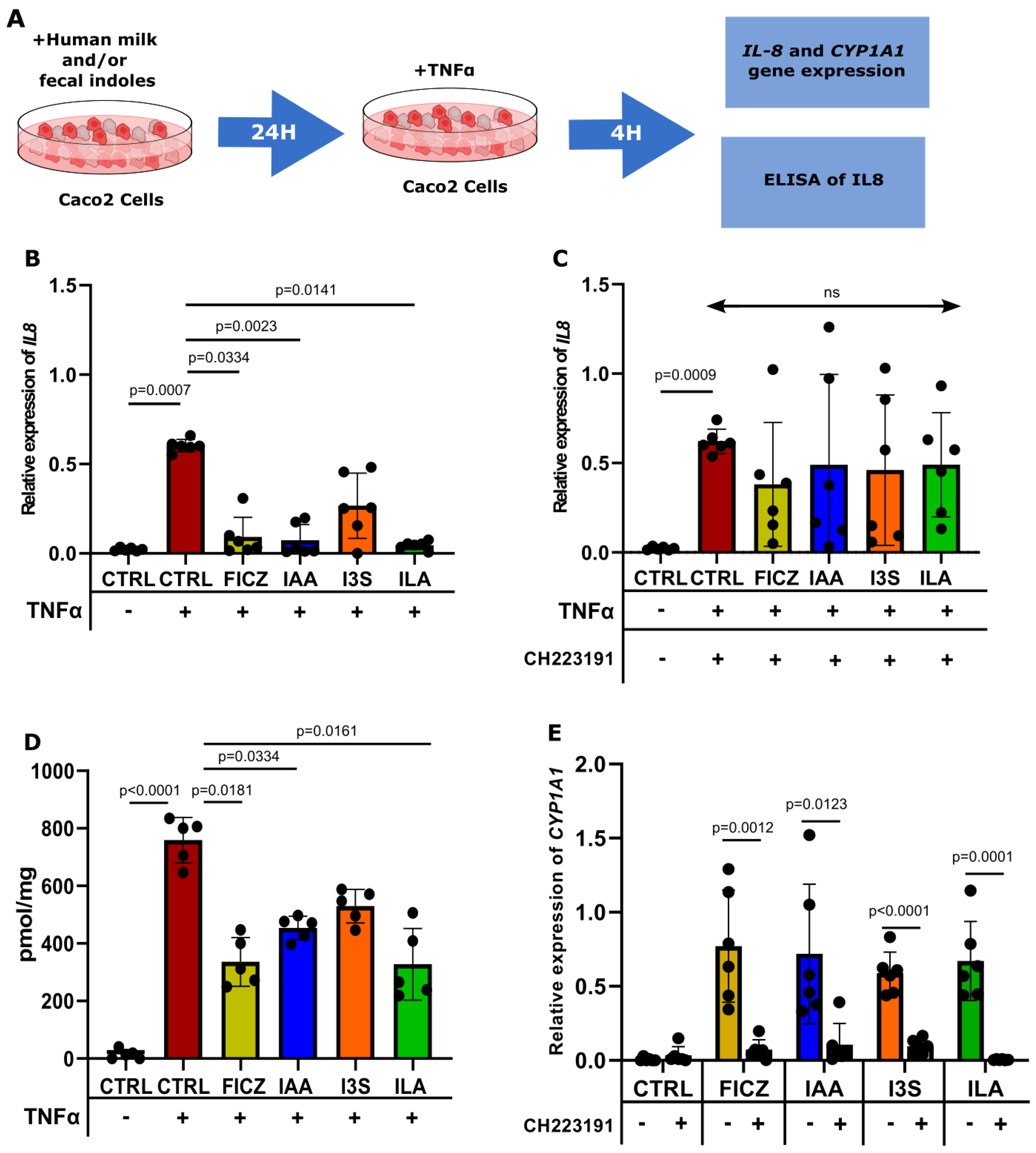 Nutrients 16 01531 g004