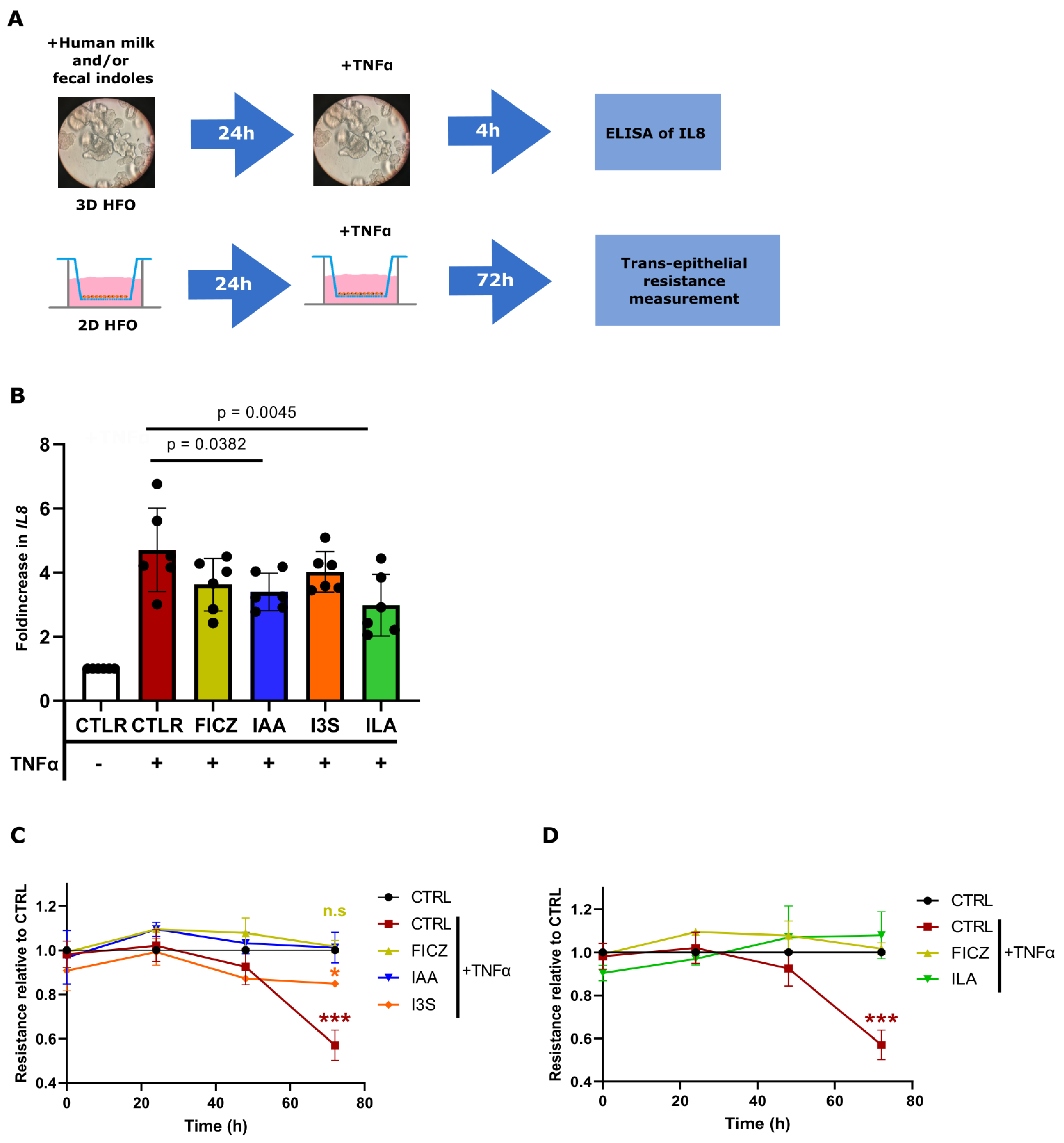 Nutrients 16 01531 g005