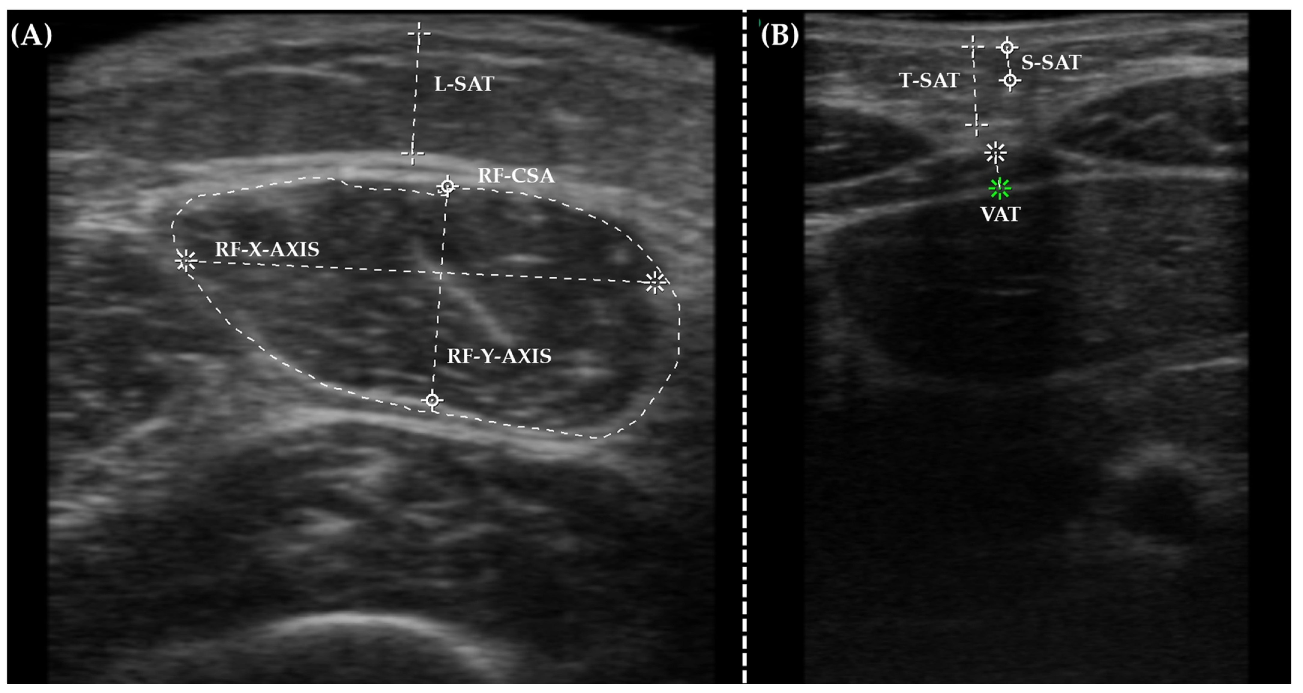 Nutrients 16 01539 g001