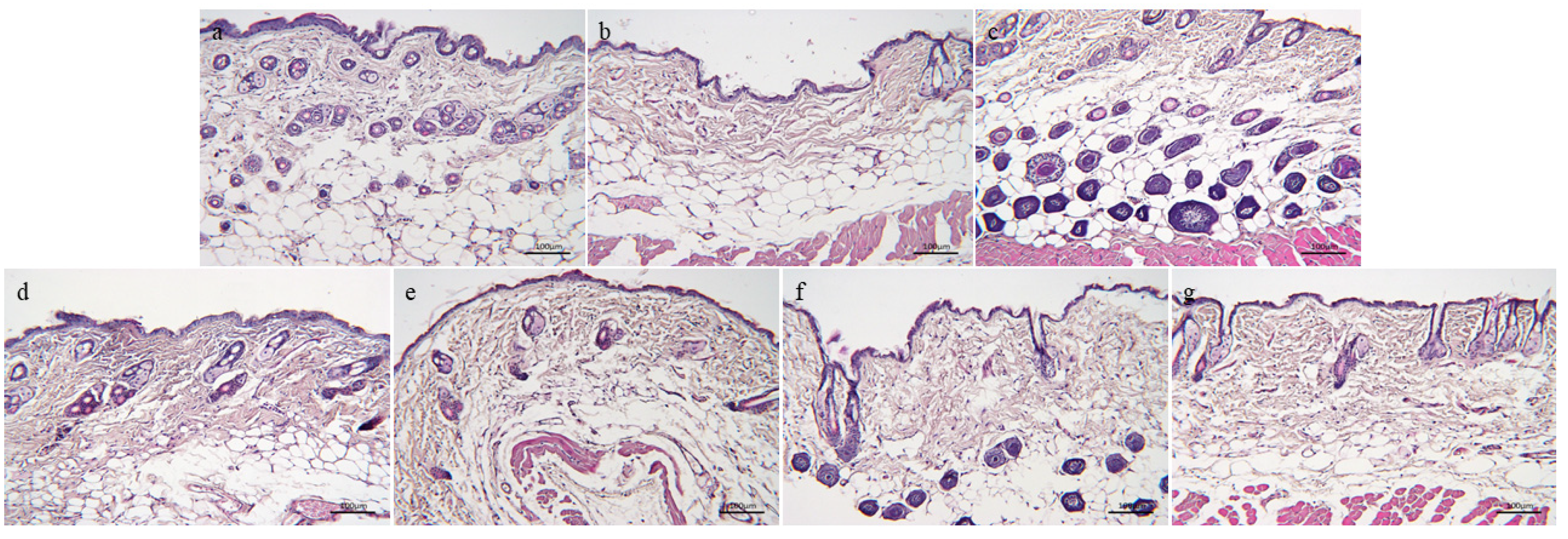Nutrients 16 01548 g007