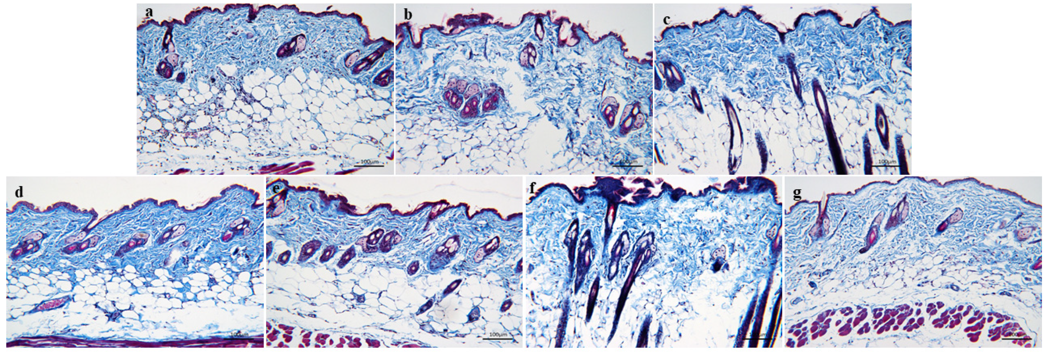 Nutrients 16 01548 g008