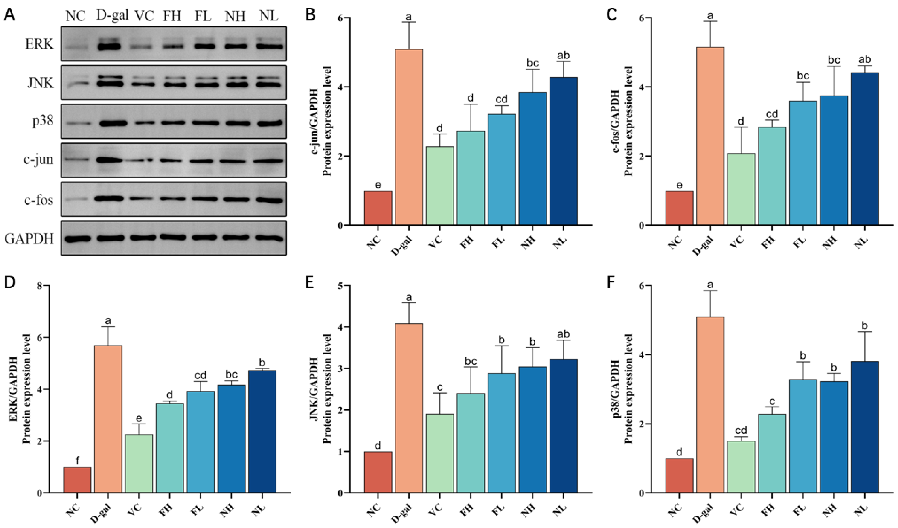 Nutrients 16 01548 g012