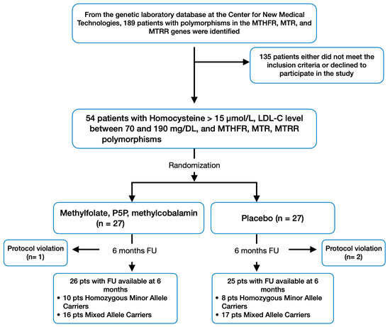 Effect of Methylfolate, Pyridoxal-5′-Phosphate, and 