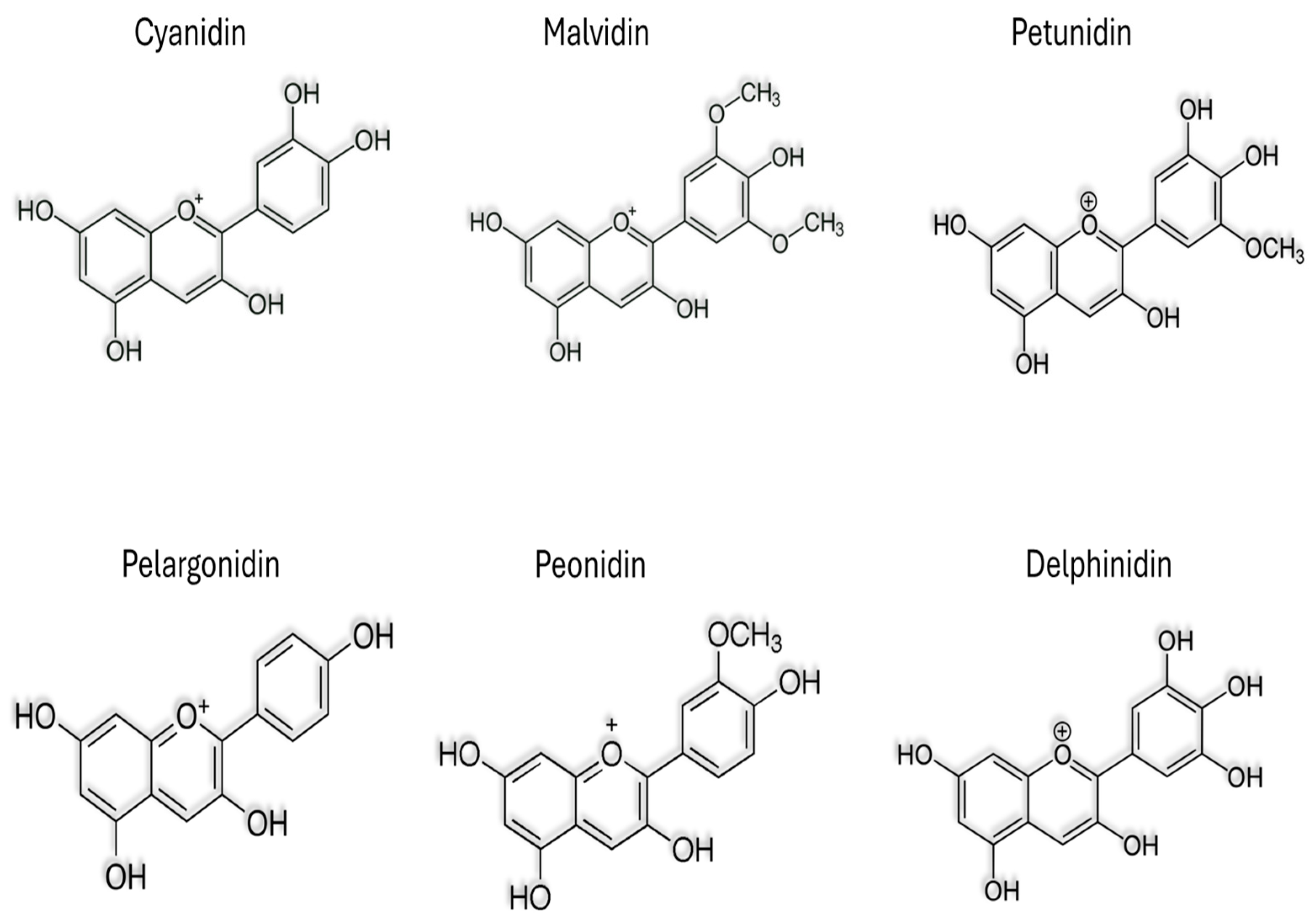 Nutrients 16 01554 g001