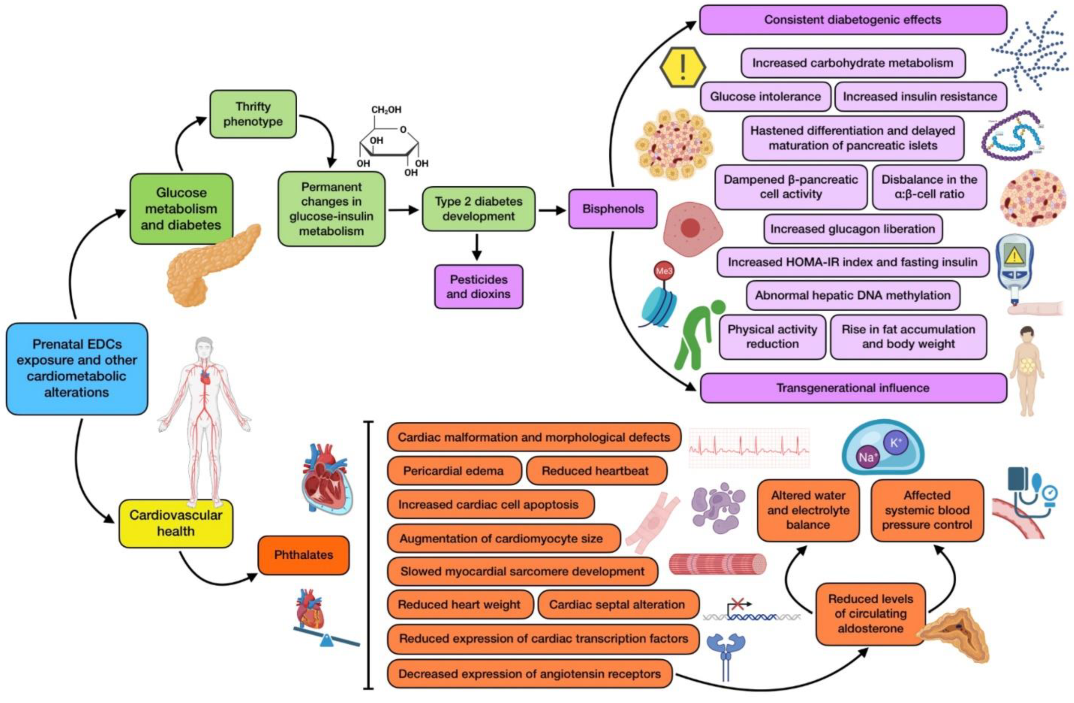 Nutrients 16 01556 g003