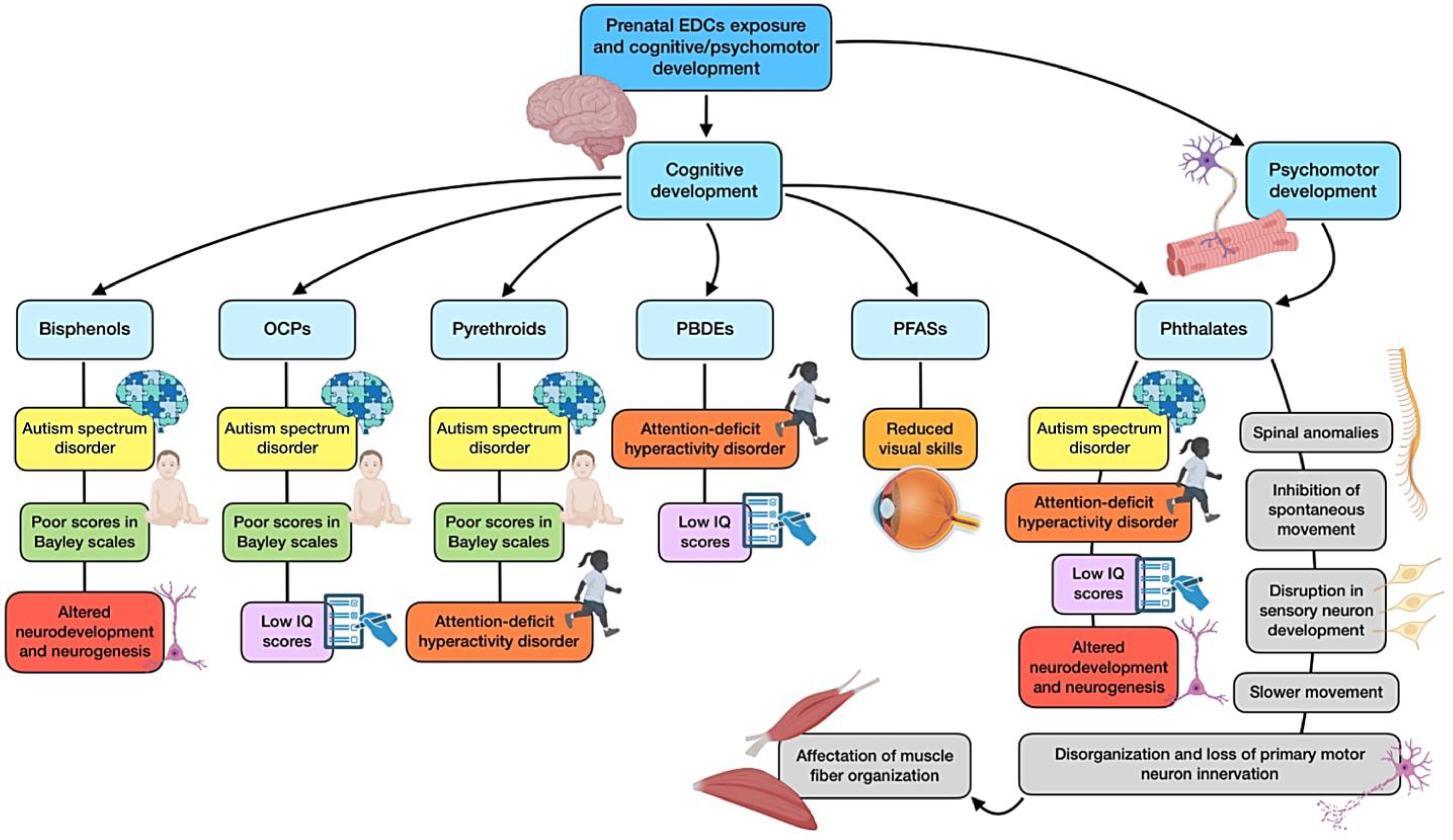 Nutrients 16 01556 g004