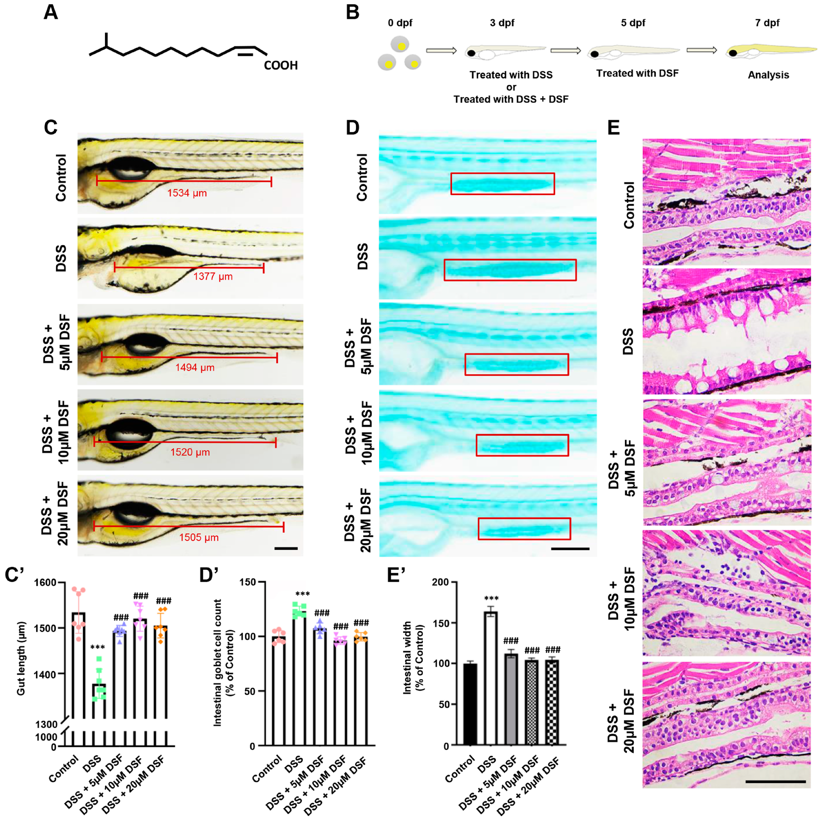 Nutrients 16 01562 g001