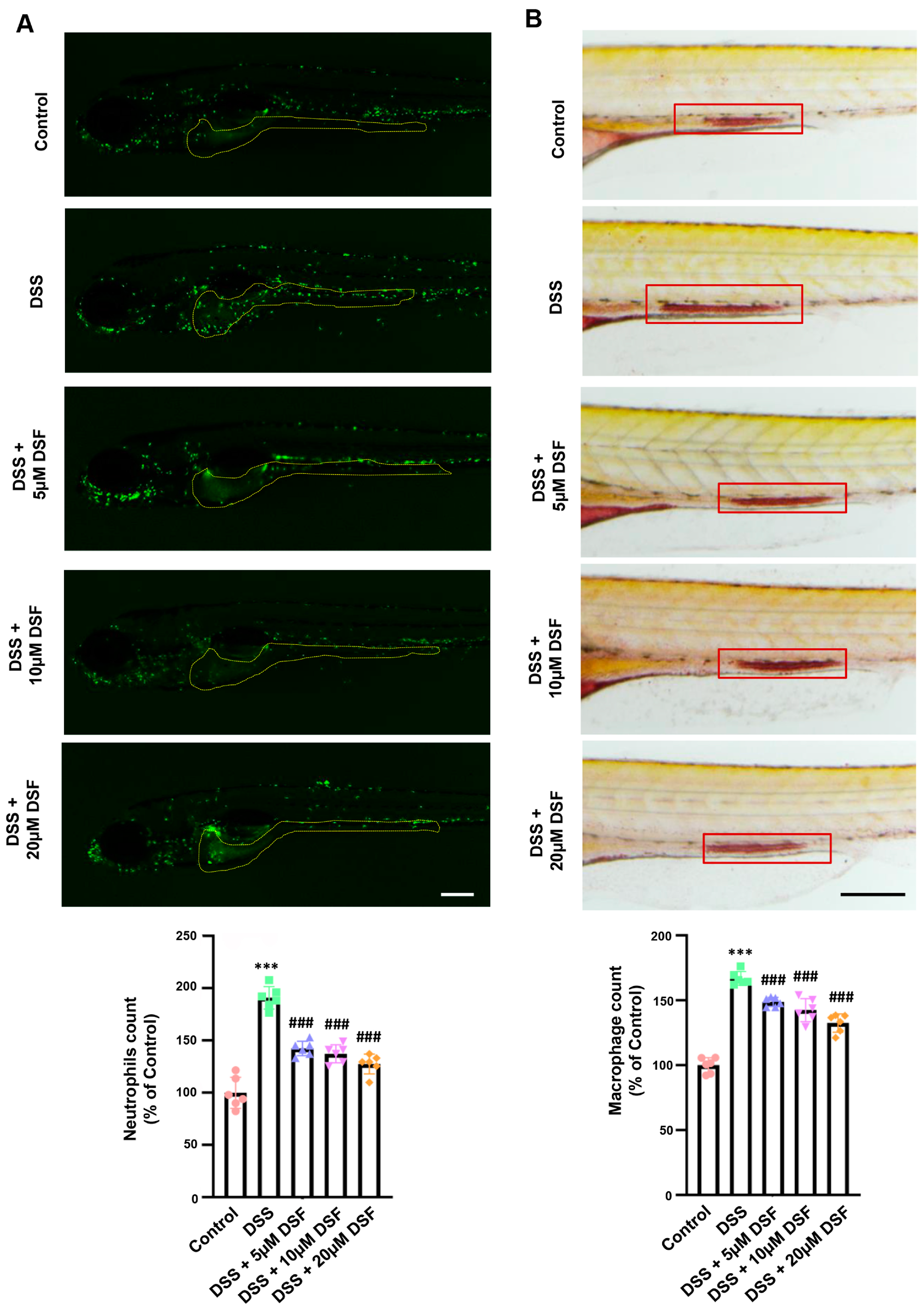 Nutrients 16 01562 g002