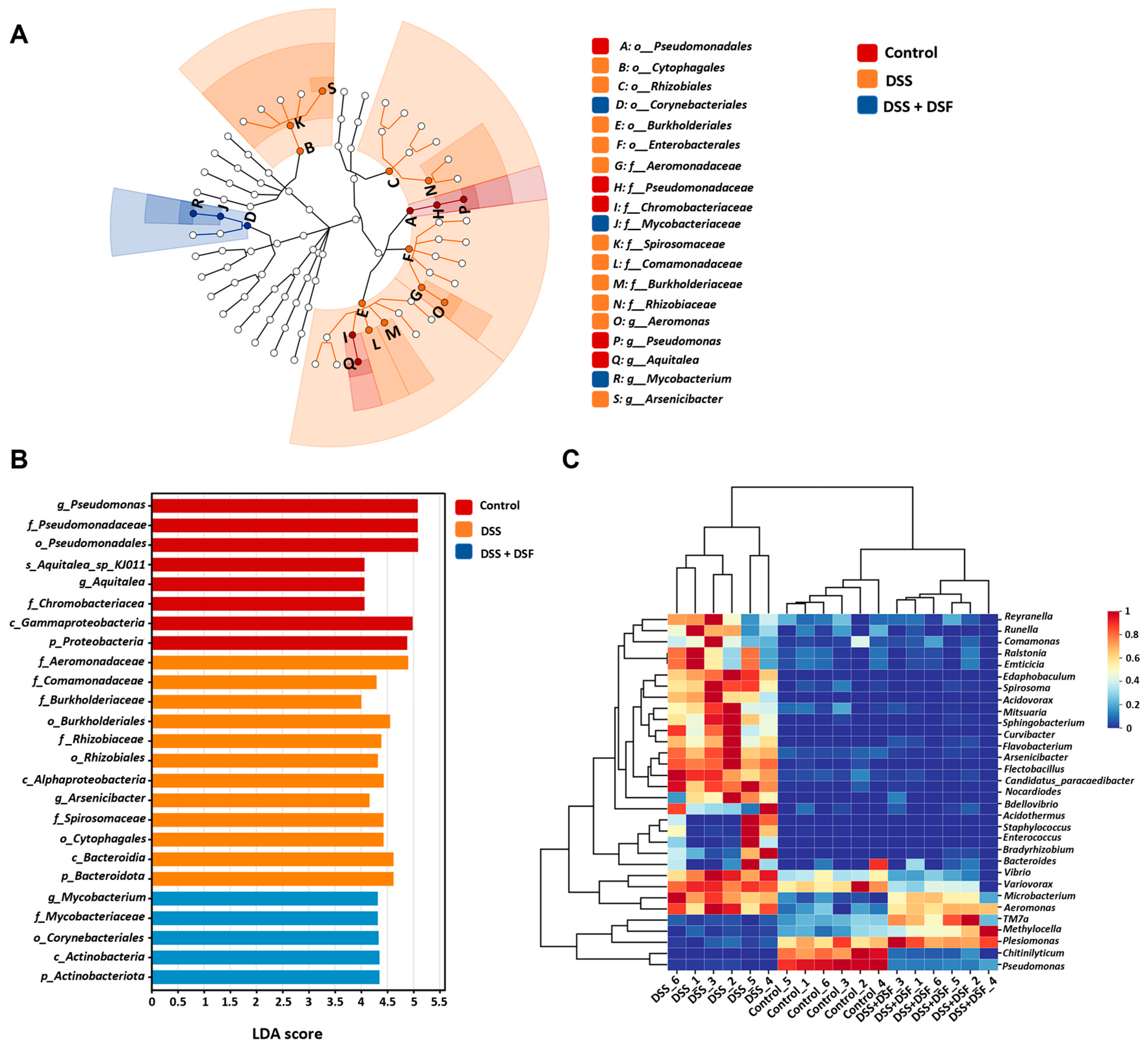 Nutrients 16 01562 g006