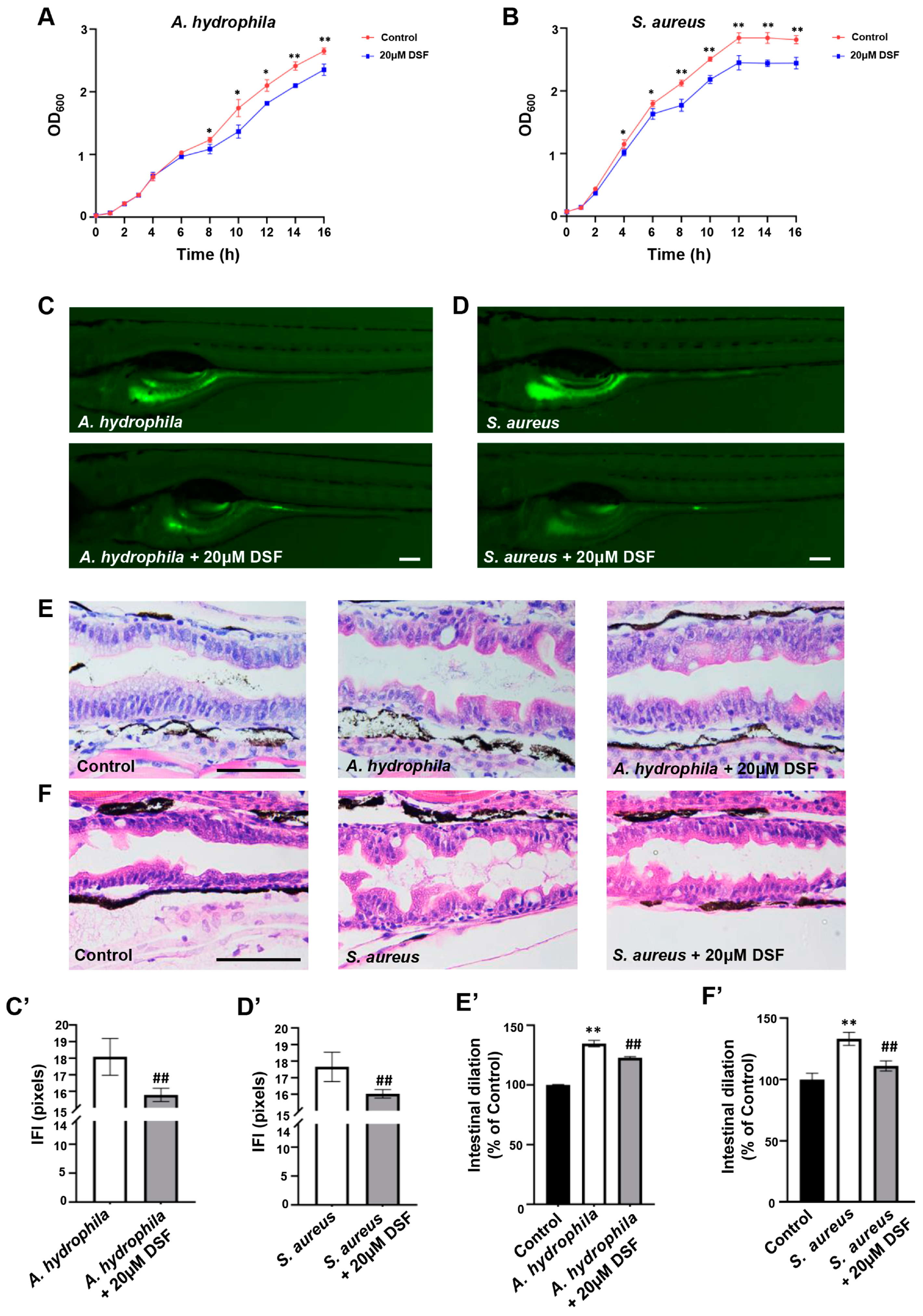 Nutrients 16 01562 g007