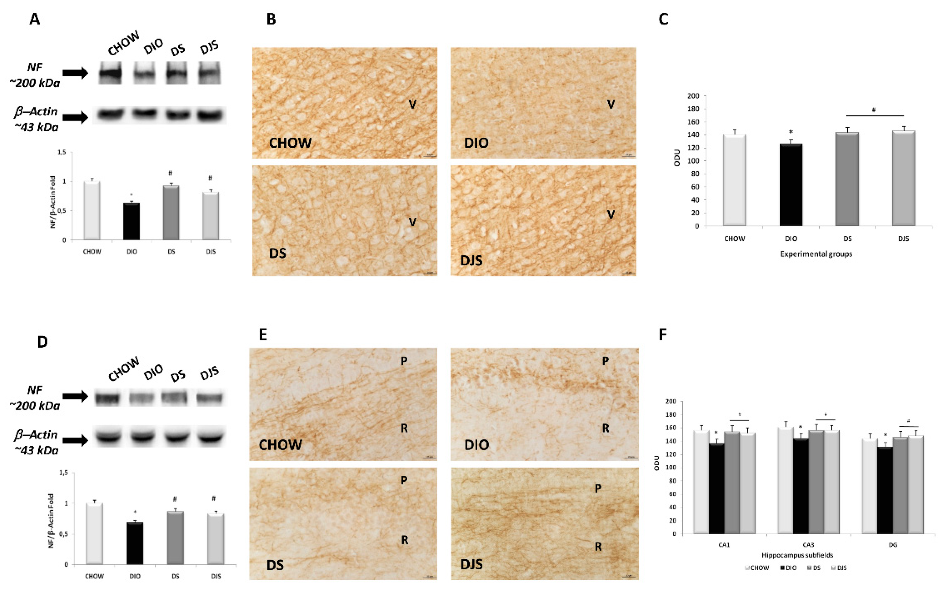 Nutrients 16 01574 g003