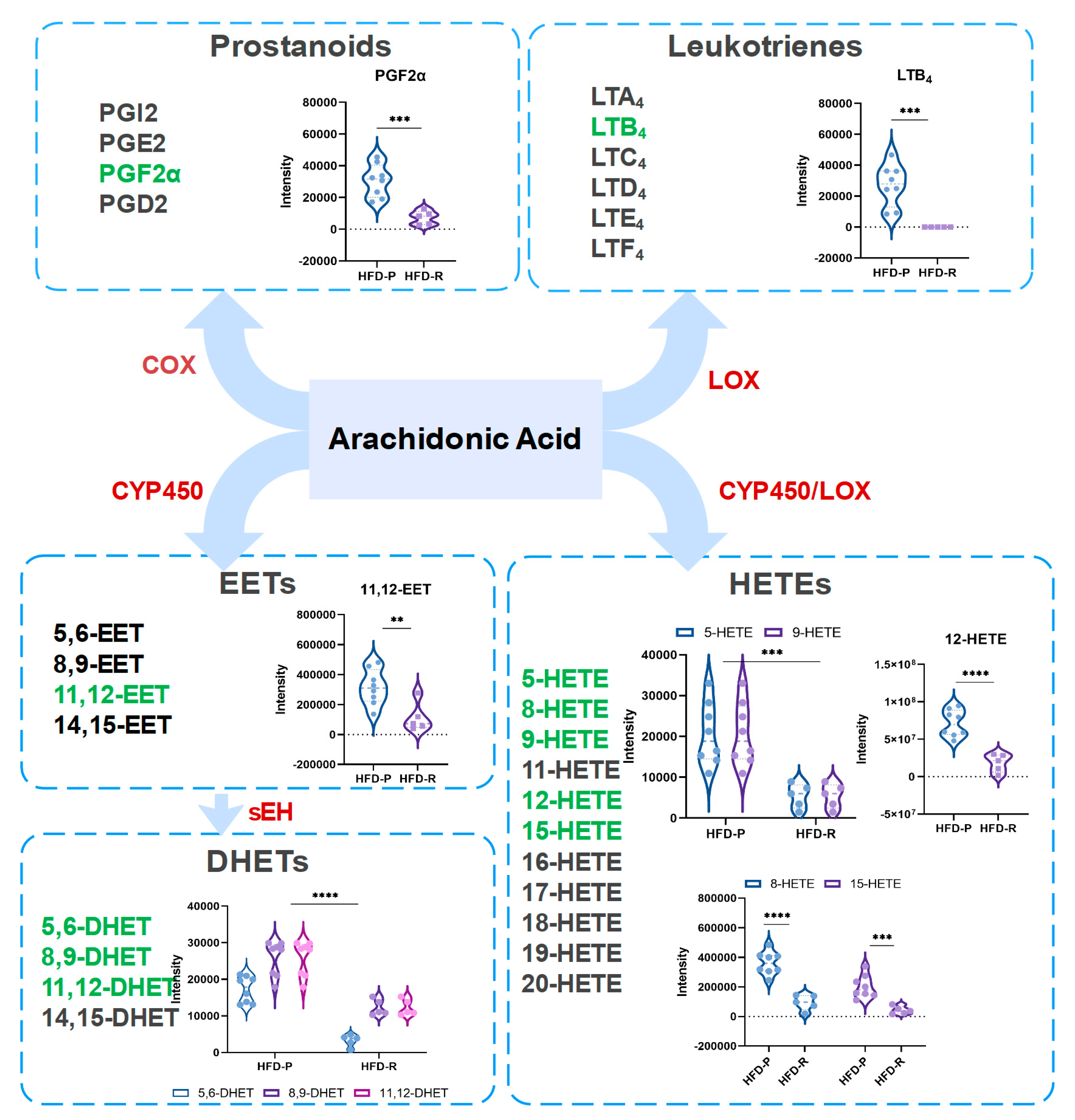 Nutrients 16 01579 g006