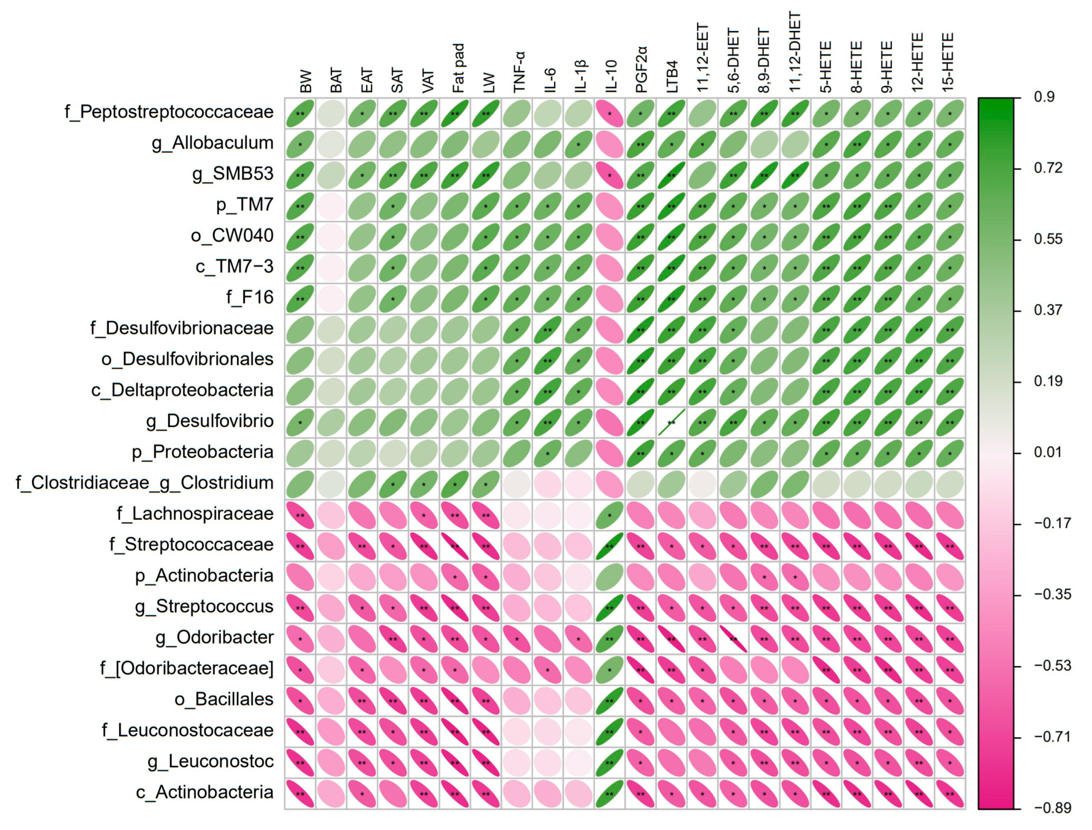 Nutrients 16 01579 g007