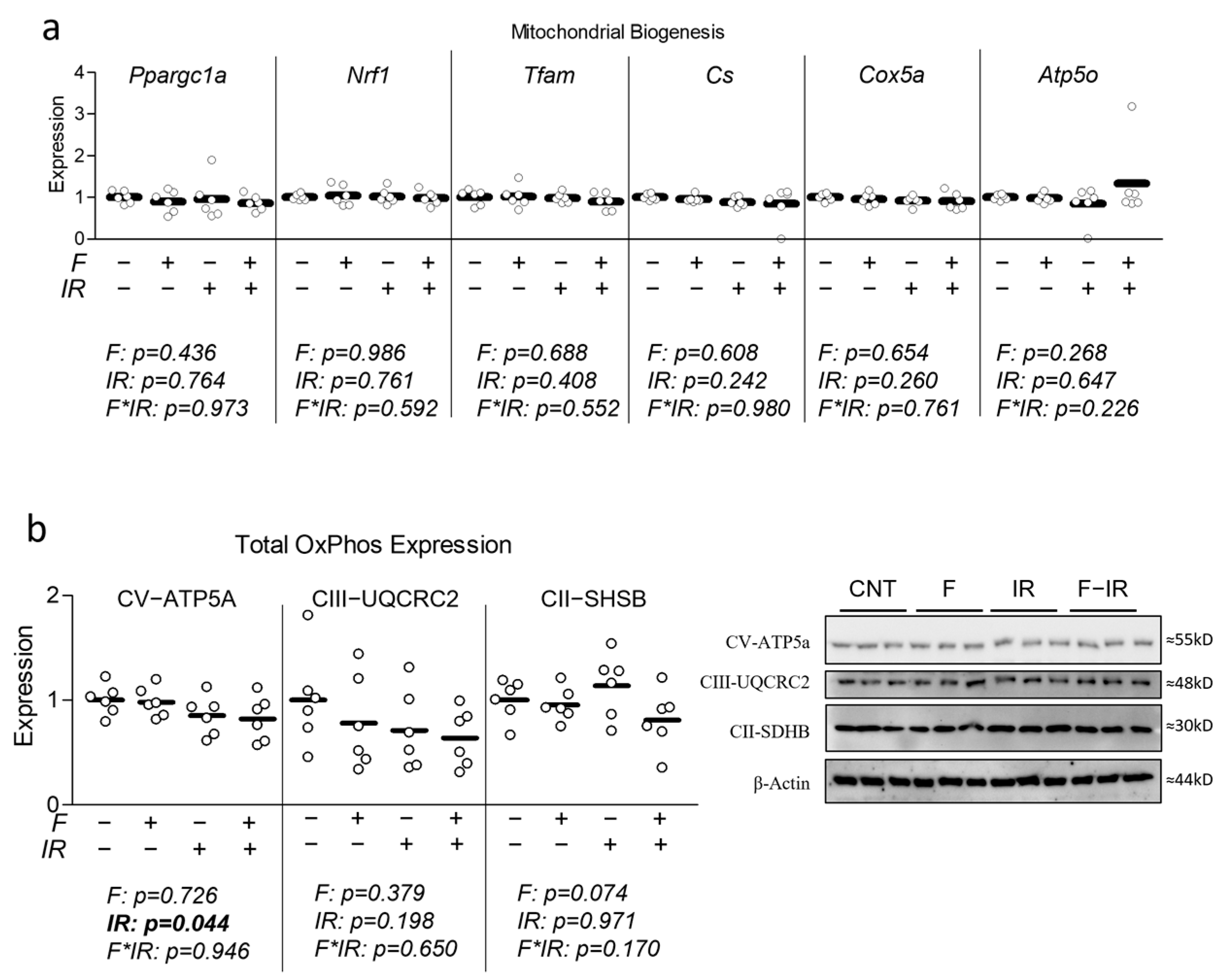 Nutrients 16 01582 g003