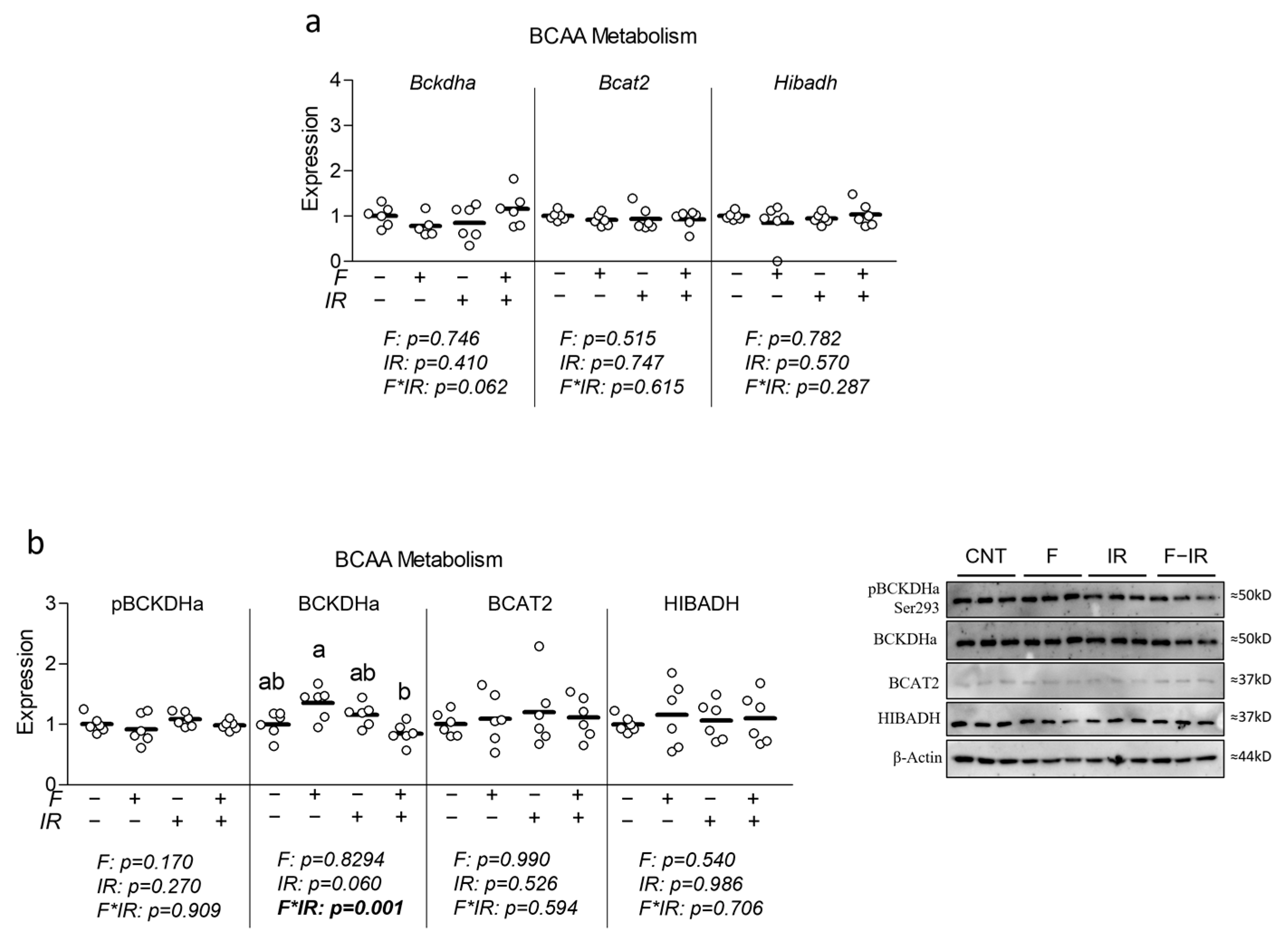 Nutrients 16 01582 g005