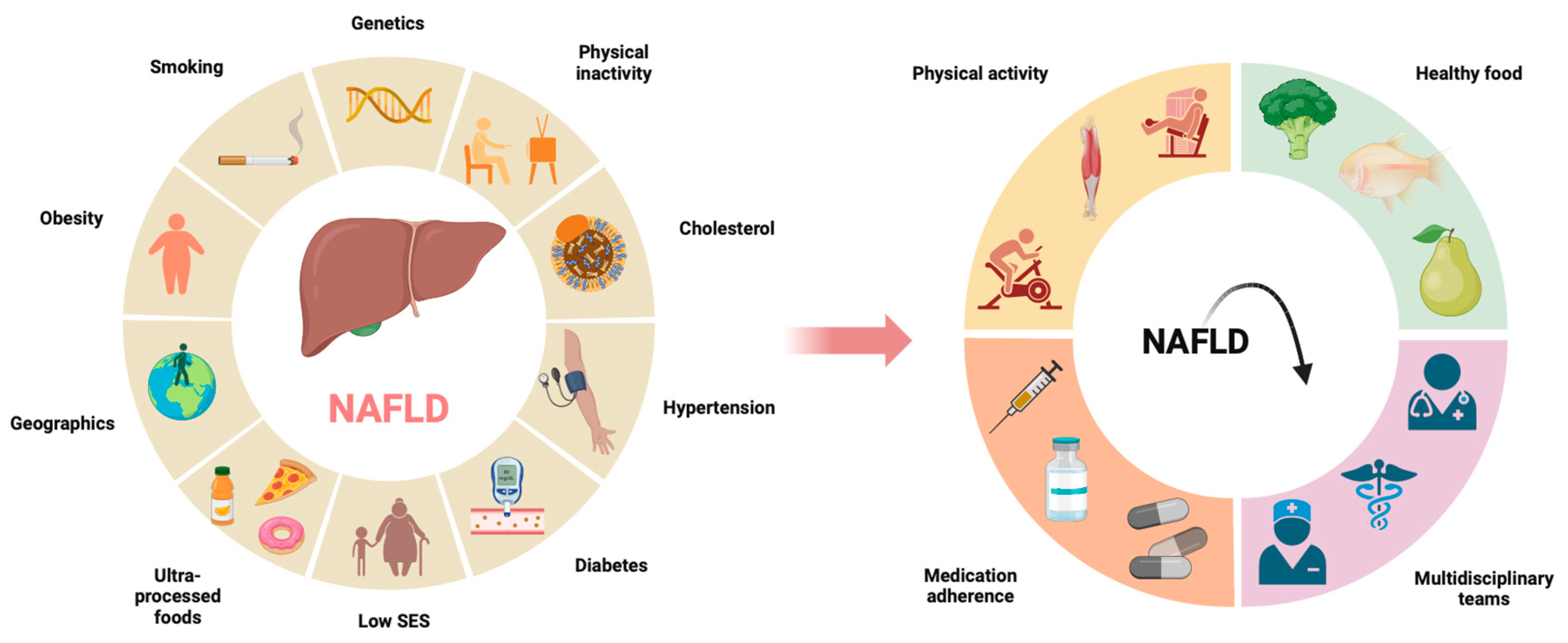 Nutrients 16 01584 g002