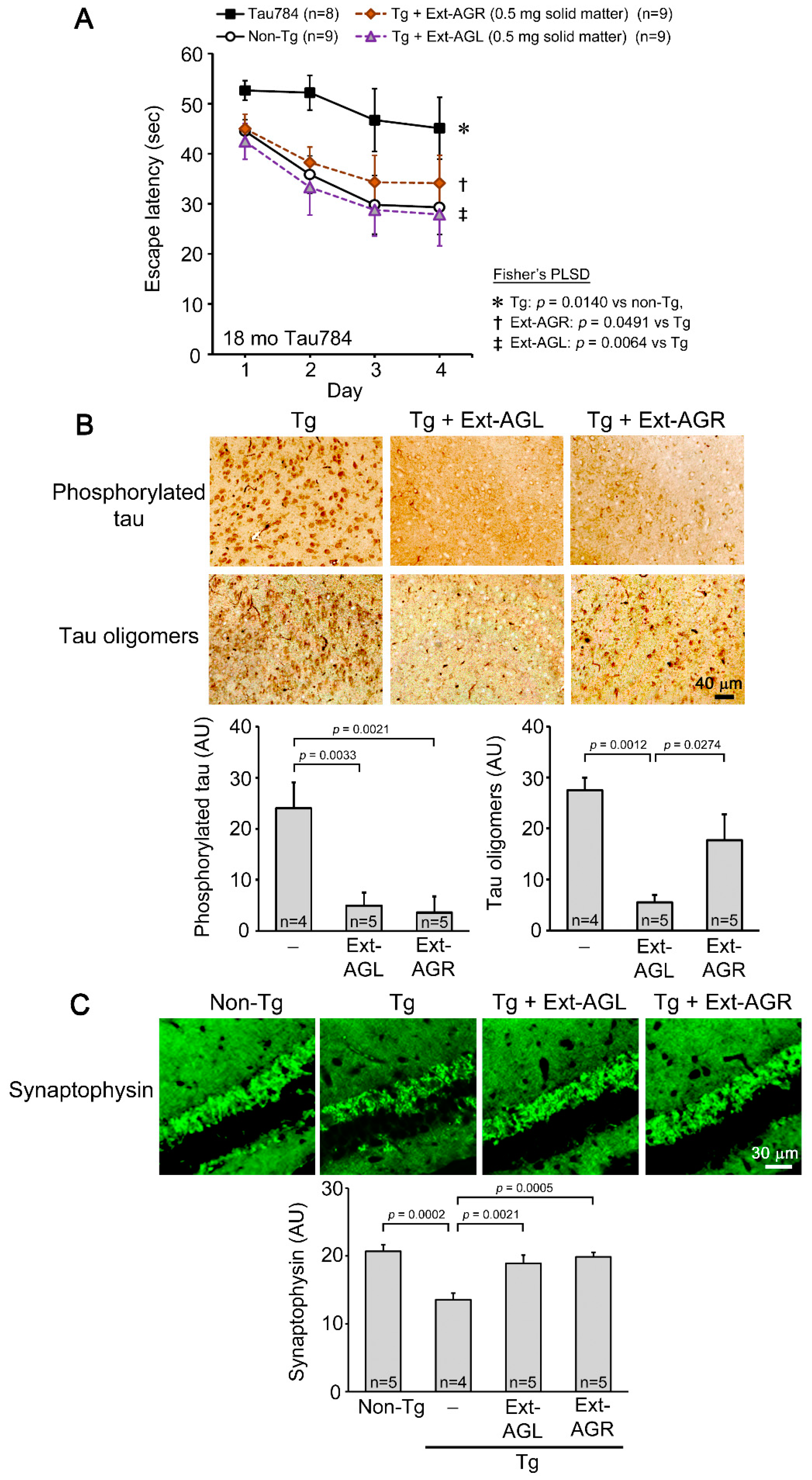 Nutrients 16 01589 g001