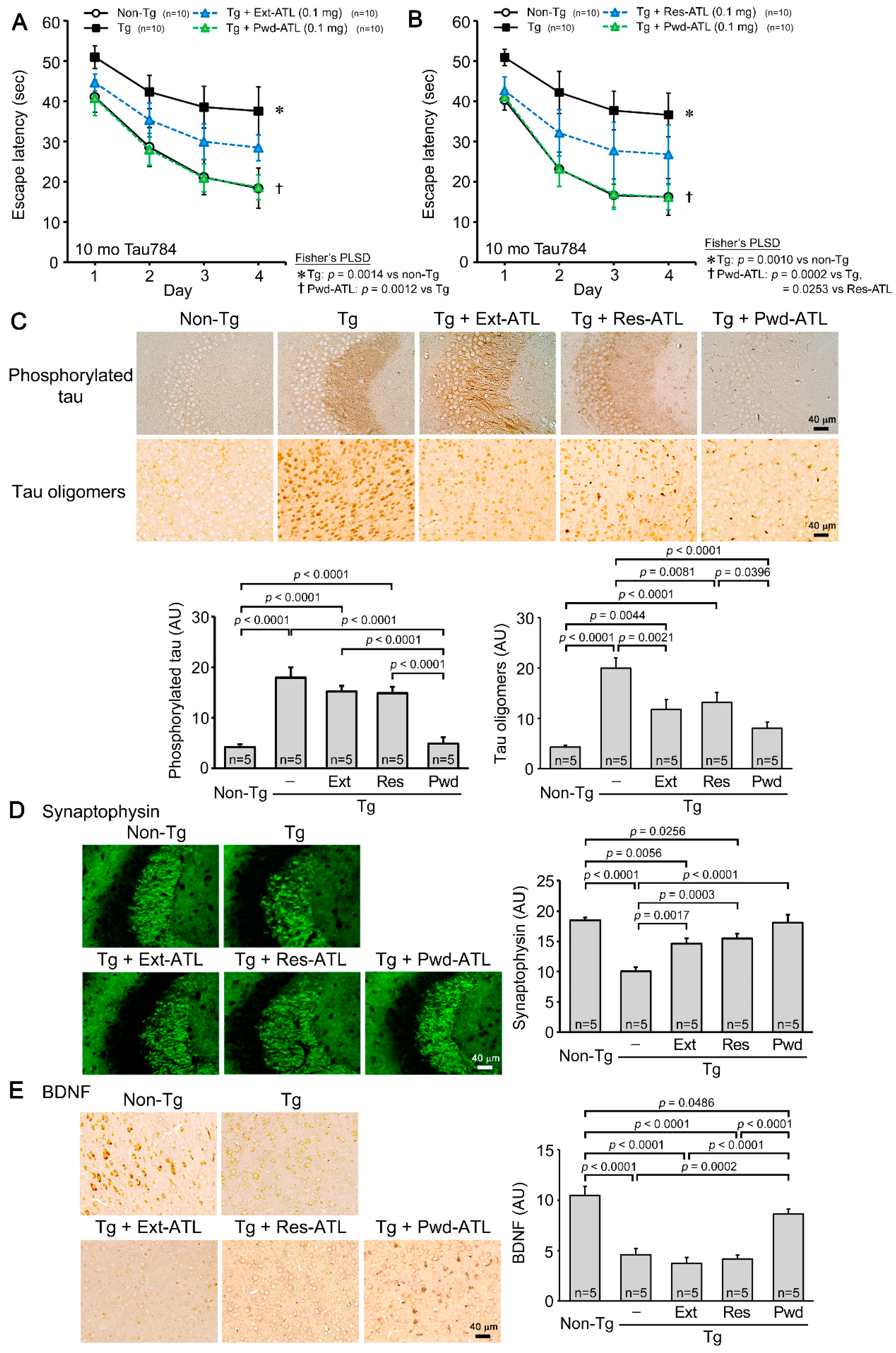 Nutrients 16 01589 g002
