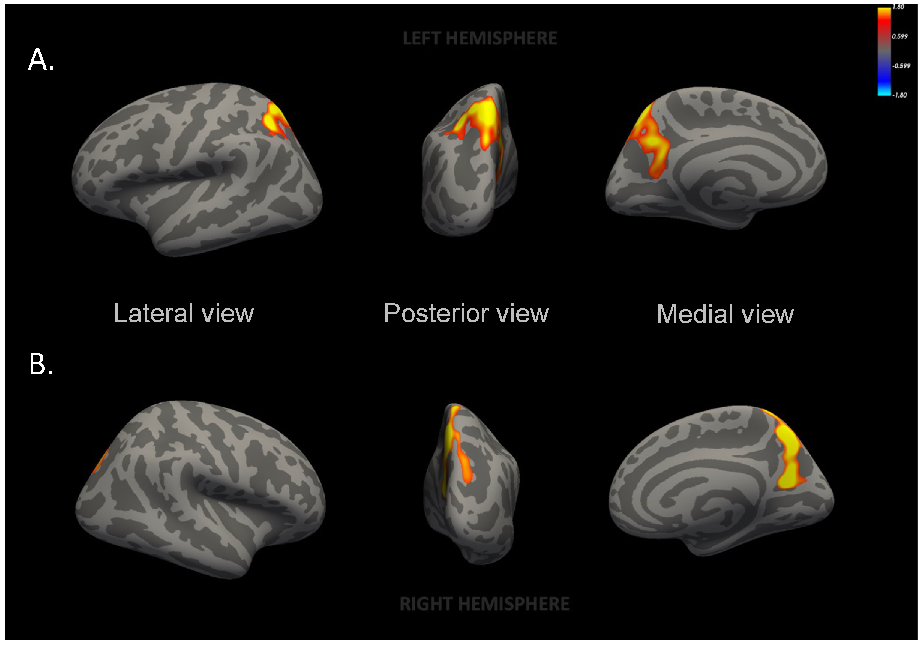 Nutrients 16 01604 g002