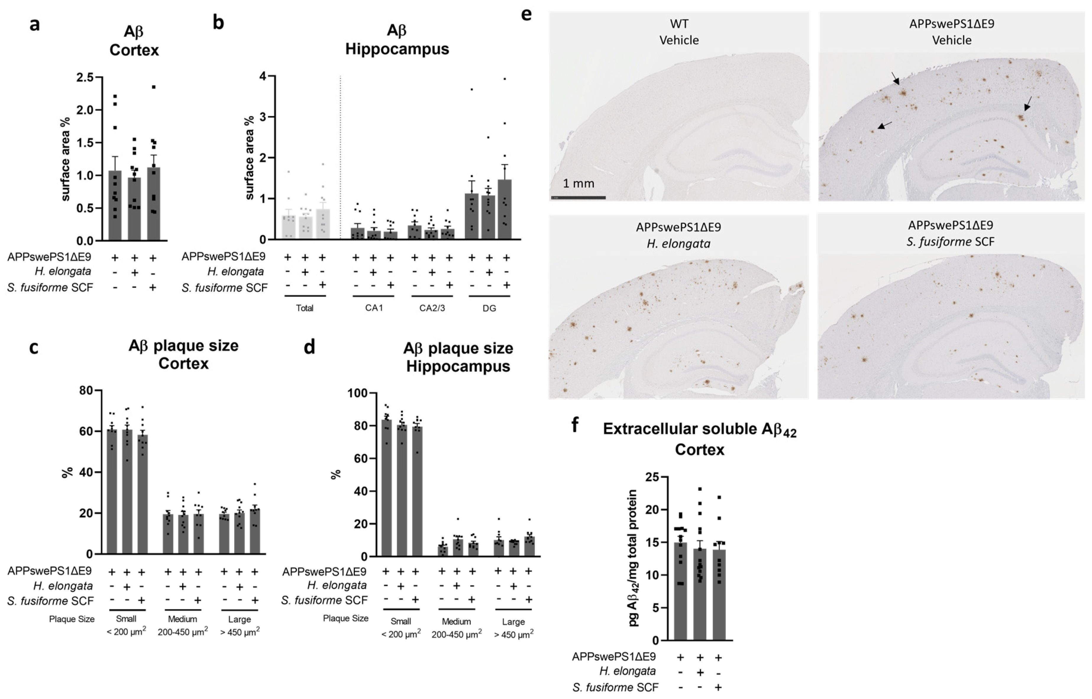 Nutrients 16 01614 g004