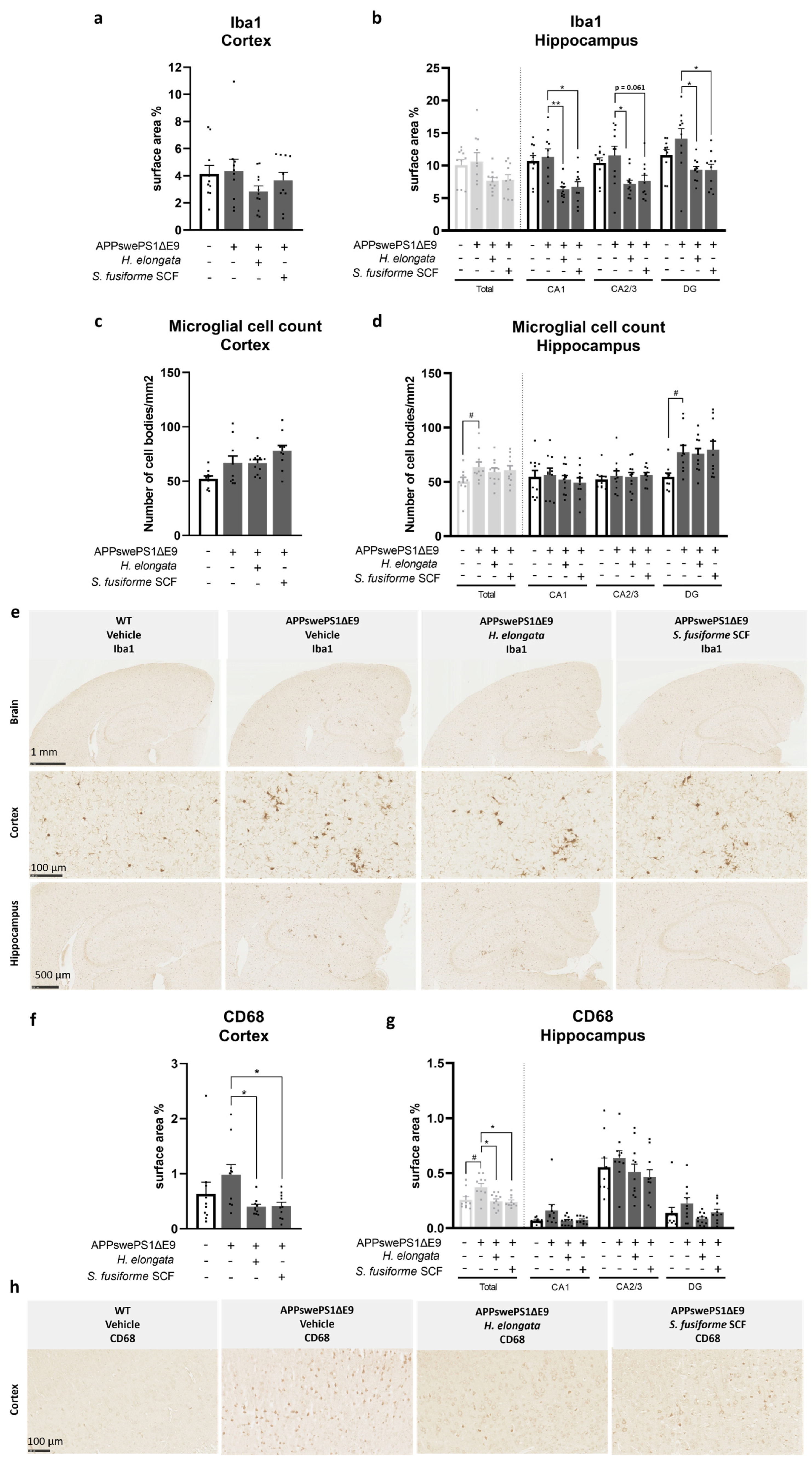 Nutrients 16 01614 g005