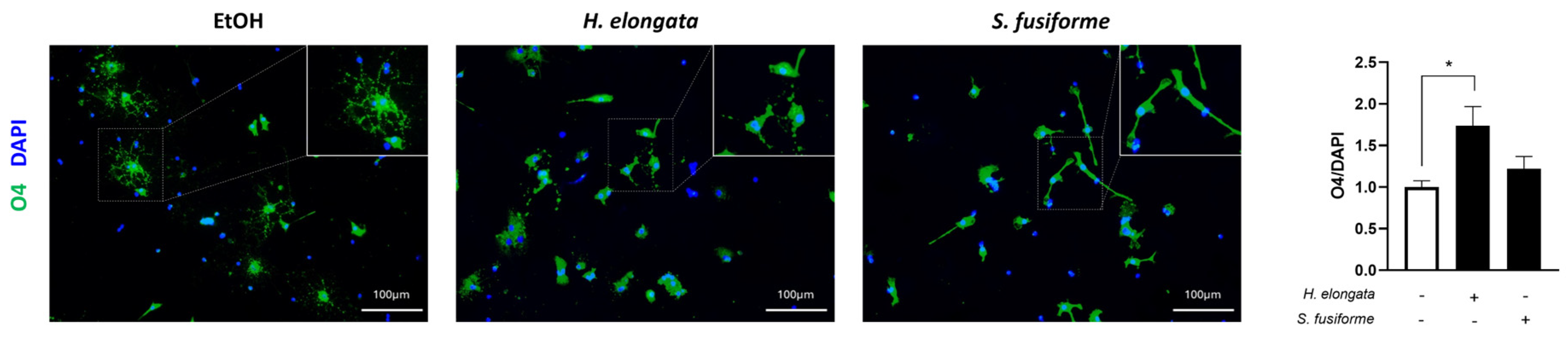 Nutrients 16 01614 g009