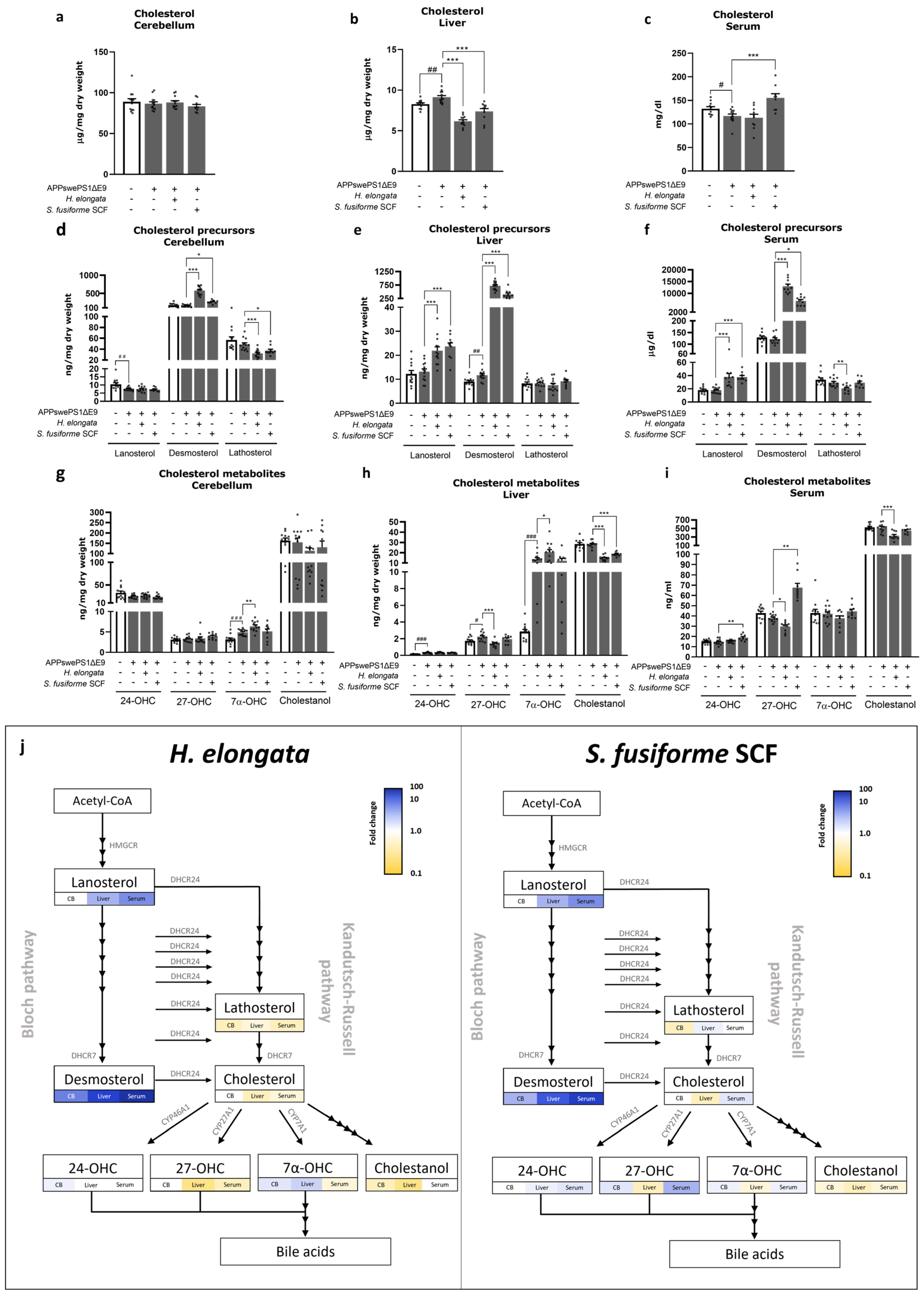 Nutrients 16 01614 g012