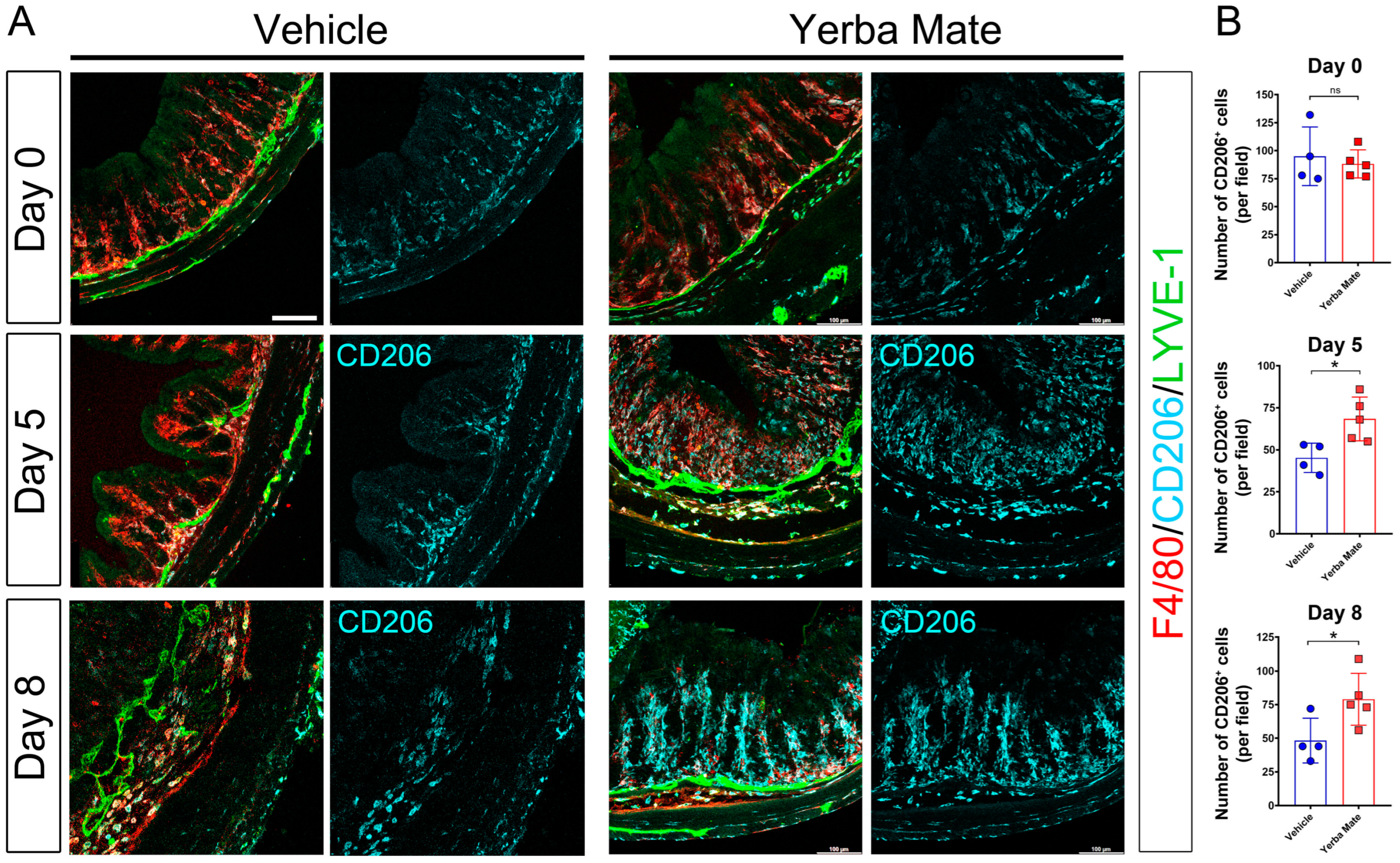 Nutrients 16 01616 g003