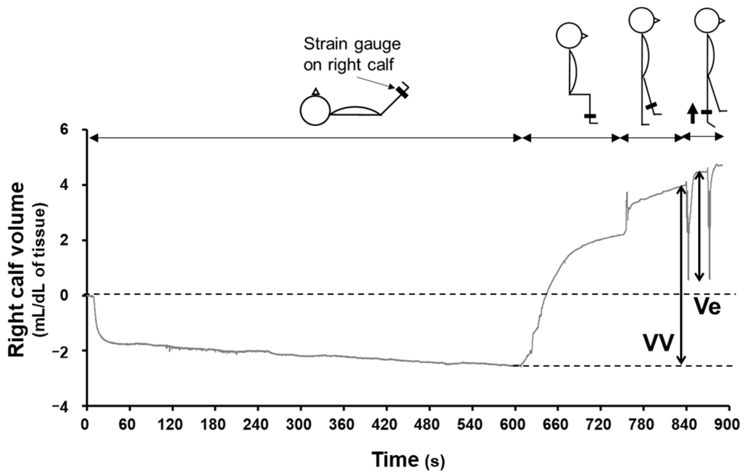 Nutrients 16 01621 g001