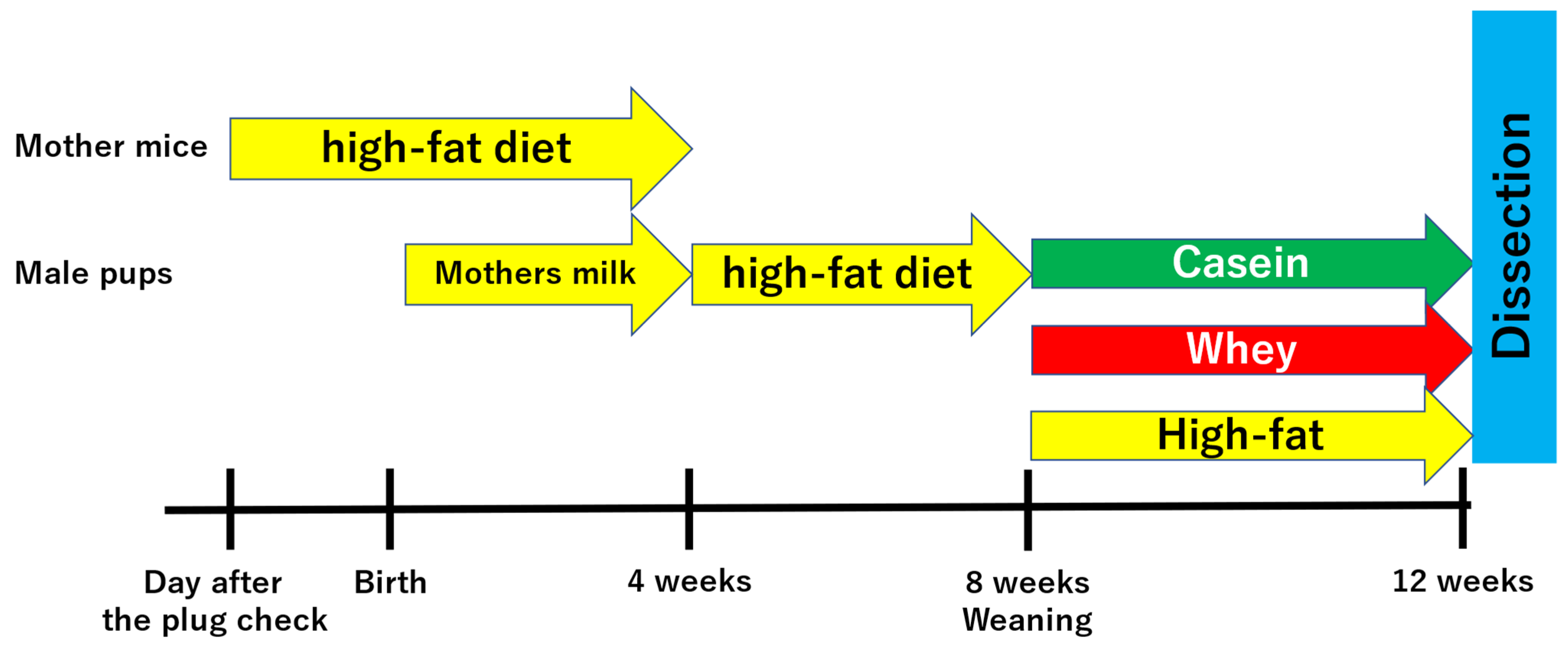 Nutrients 16 01622 g001