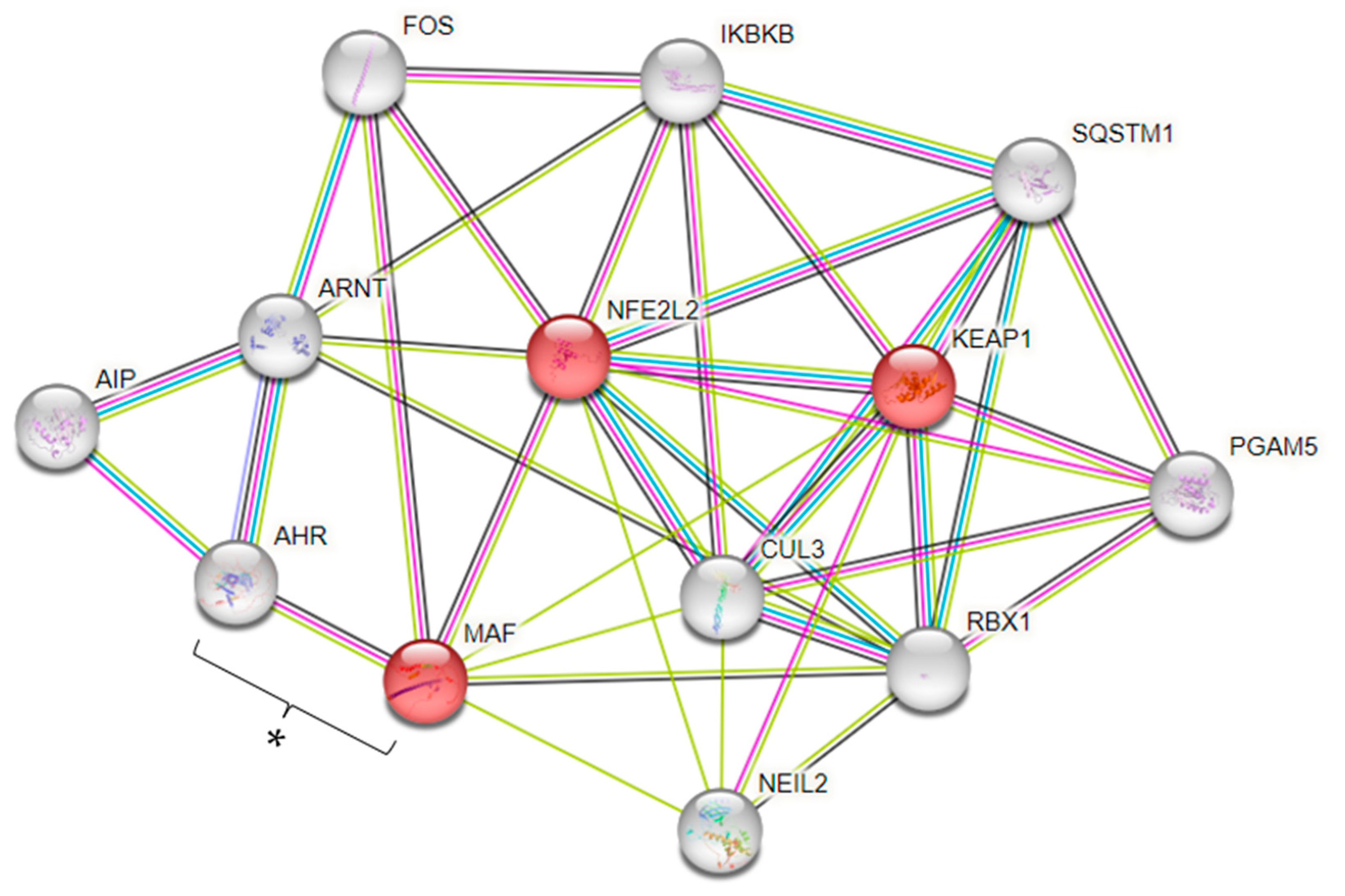 Nutrients 16 01627 g006