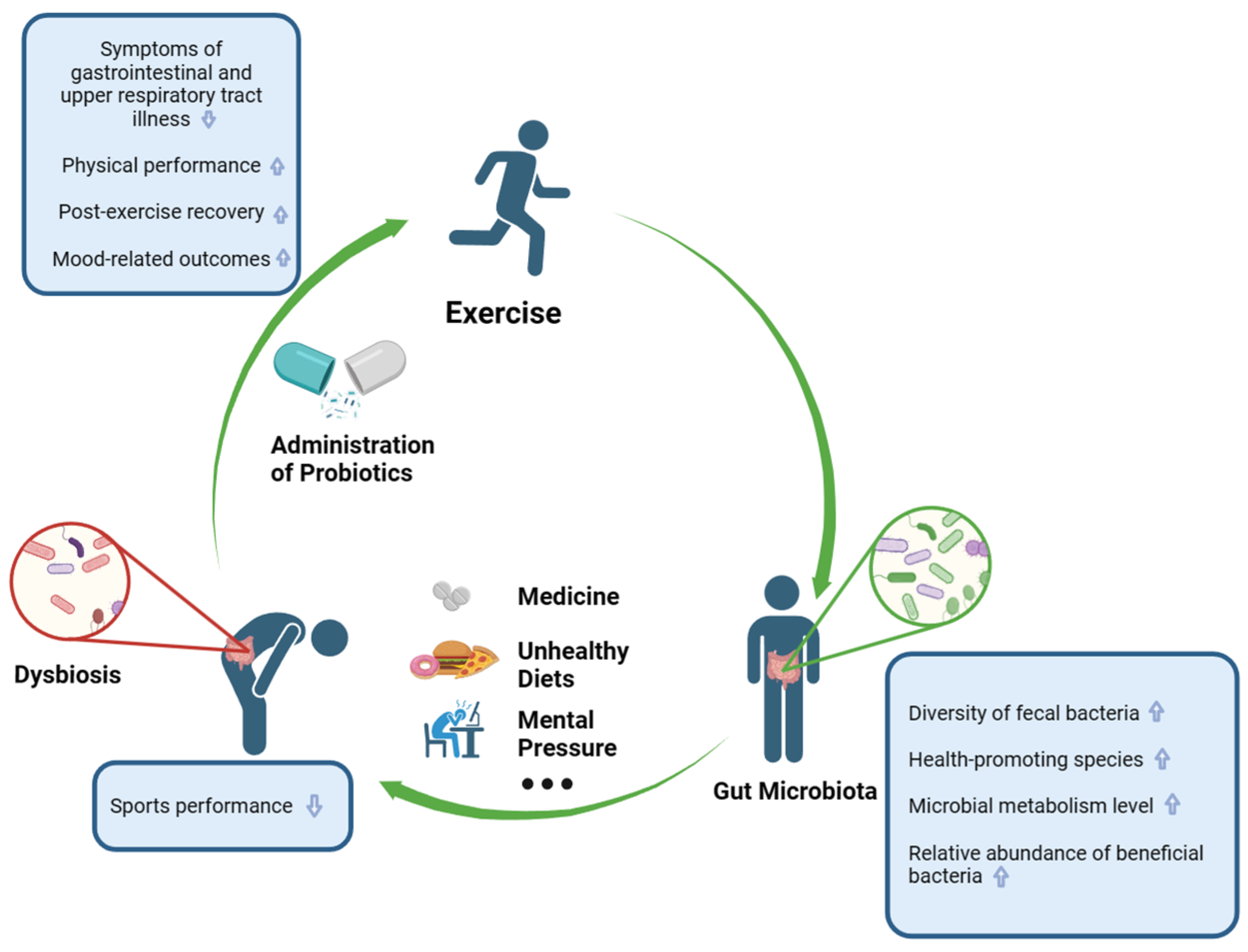 Nutrients 16 01634 g001