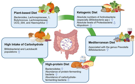 Dietary Patterns, Gut Microbiota and Sports Performance in Athletes: A ...
