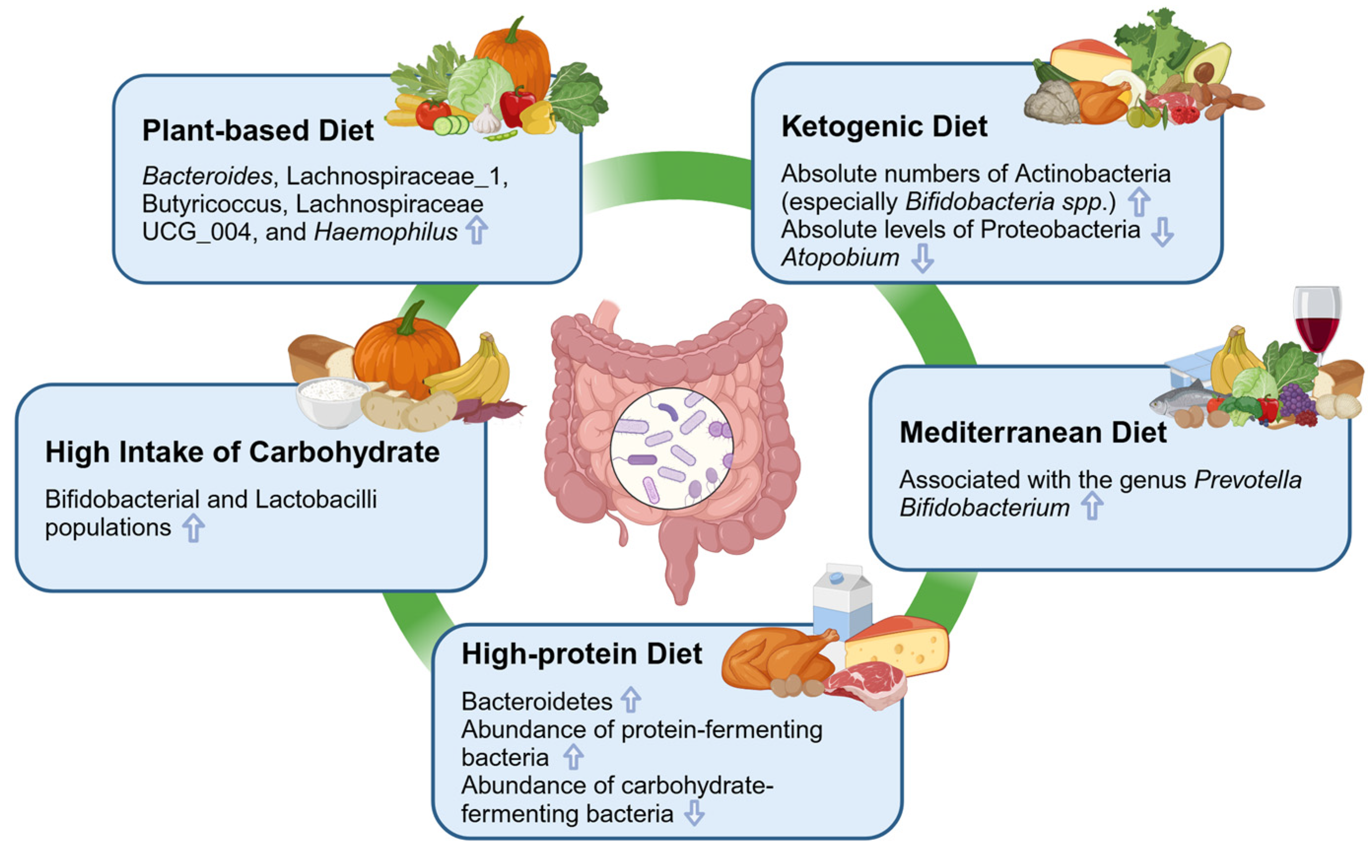 Nutrients 16 01634 g002